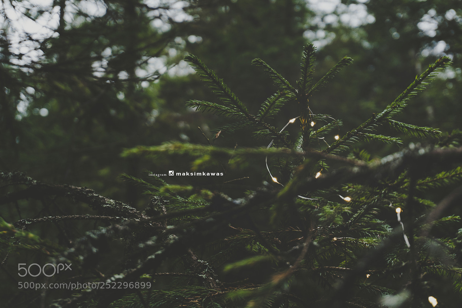 Sony a6300 sample photo. A little summer photography