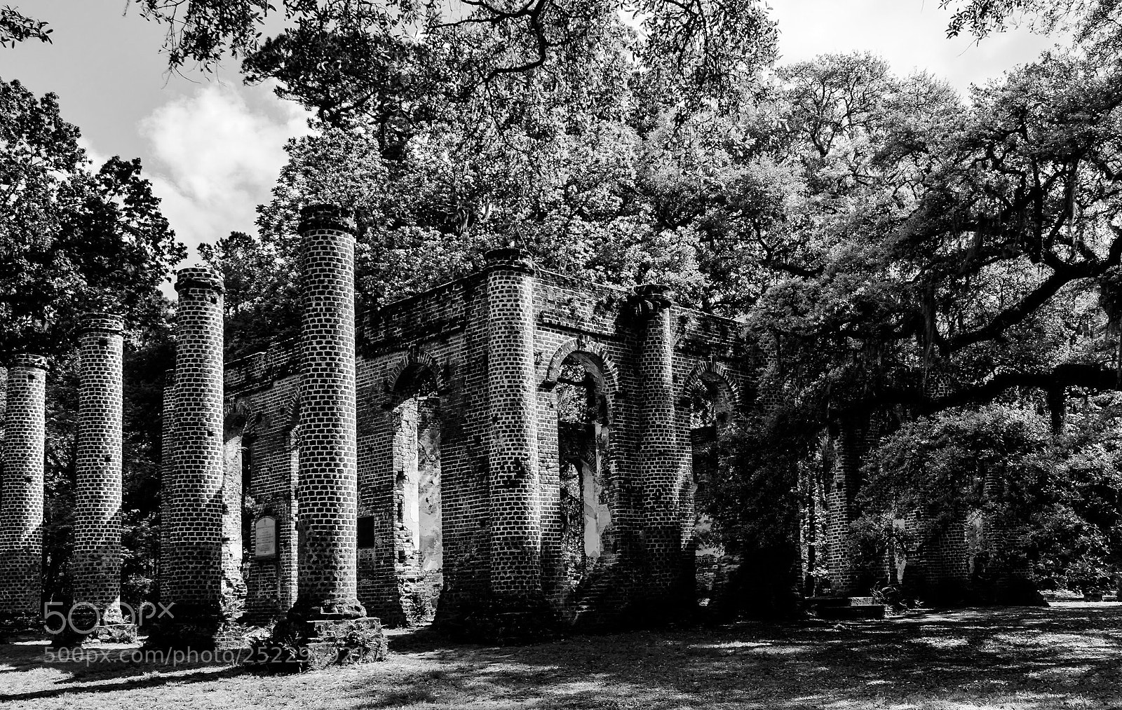Nikon D5500 sample photo. Old shelton church ruins  photography