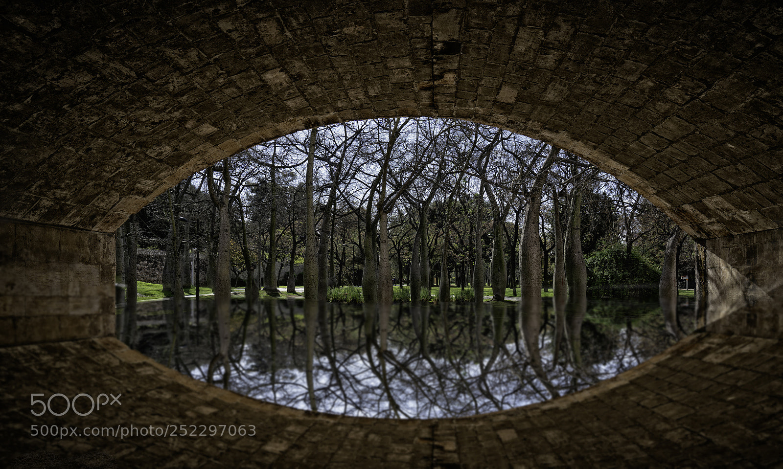 Sony a7R II sample photo. Reflexes photography