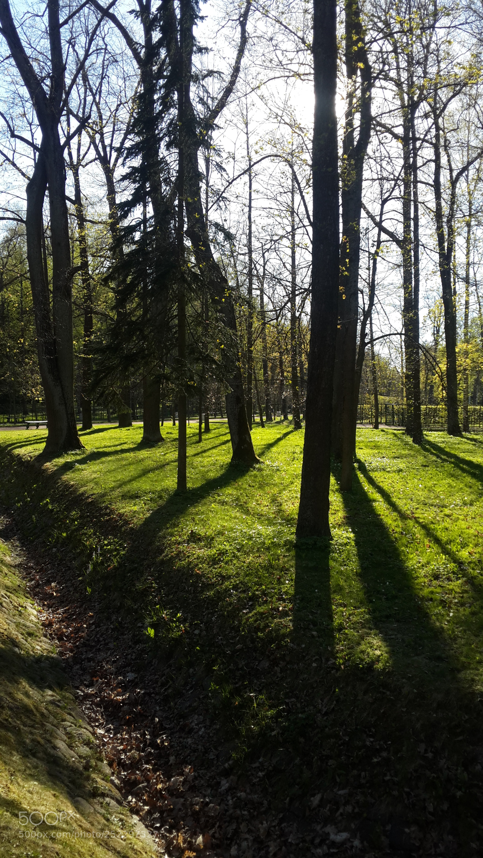 Samsung Galaxy S4 sample photo. 20170523_183711.jpg photography