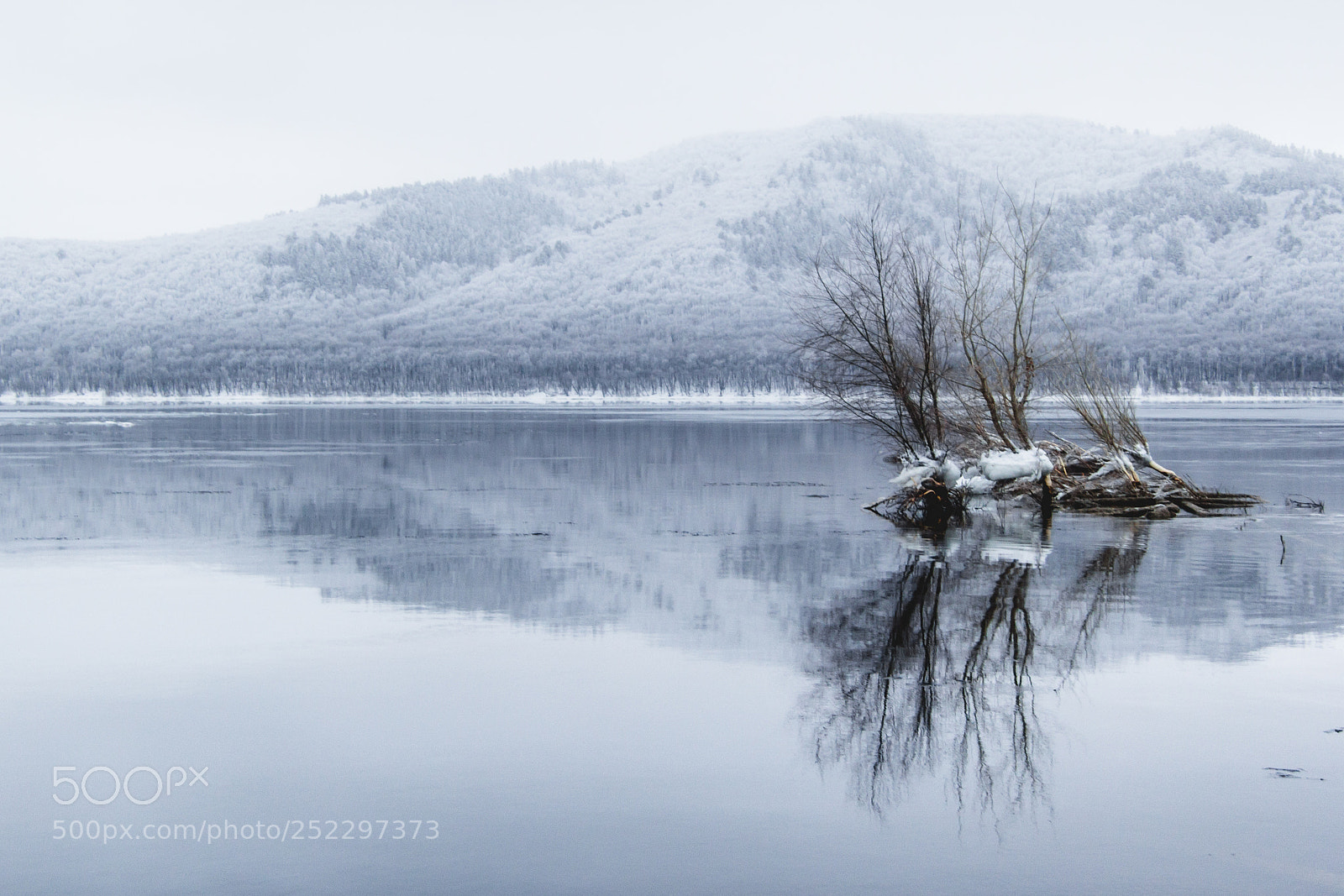 Canon EOS 60D sample photo. Mirror reflection photography