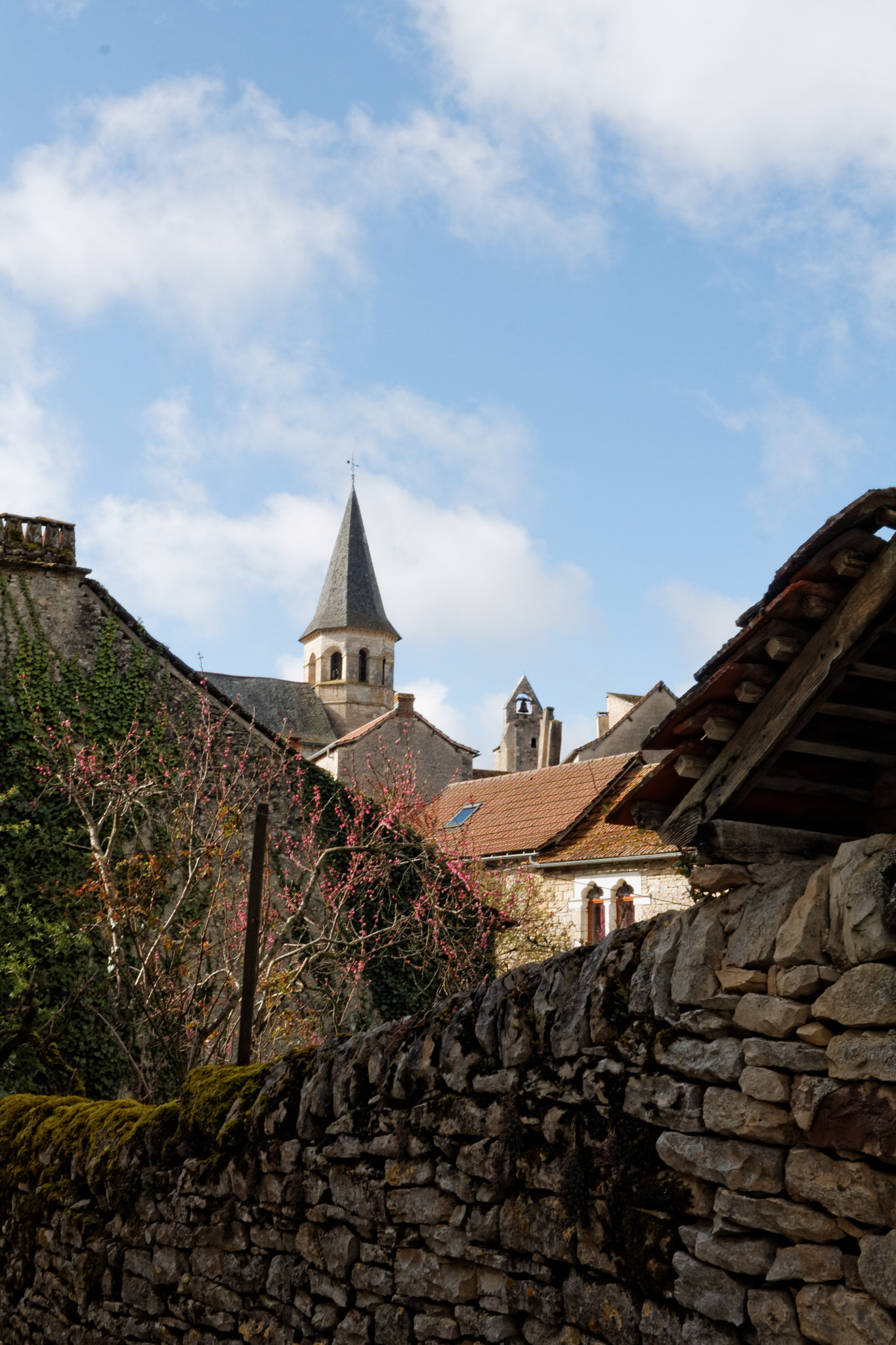 Canon EF-S 24mm F2.8 STM sample photo. Villeneuve photography