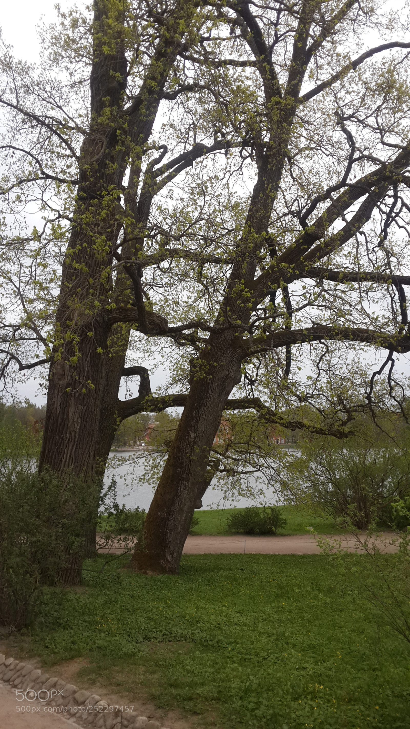 Samsung Galaxy S4 sample photo. 20170524_191059.jpg photography