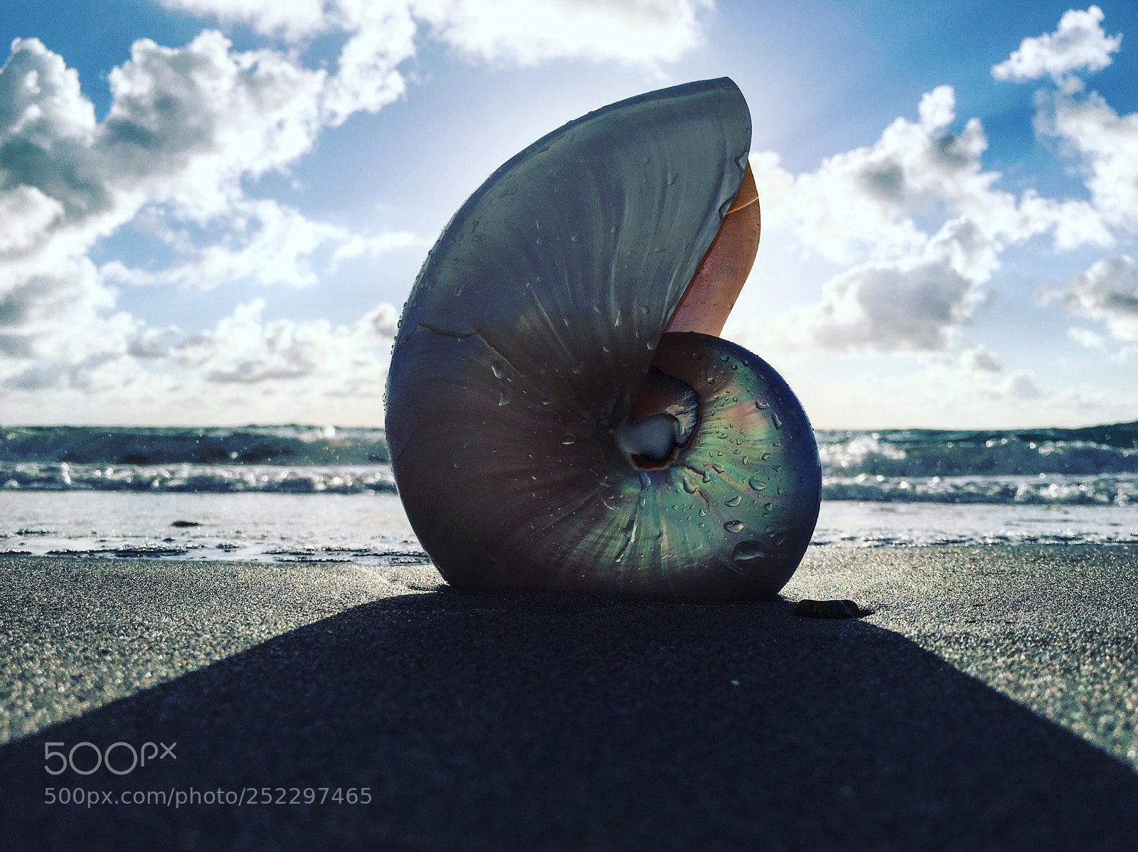Apple iPhone 6s sample photo. C6 photography