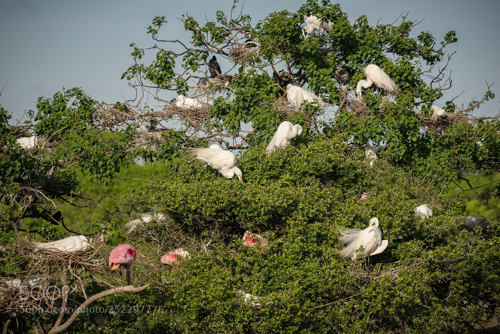 Sony a7R II sample photo. High island
 photography