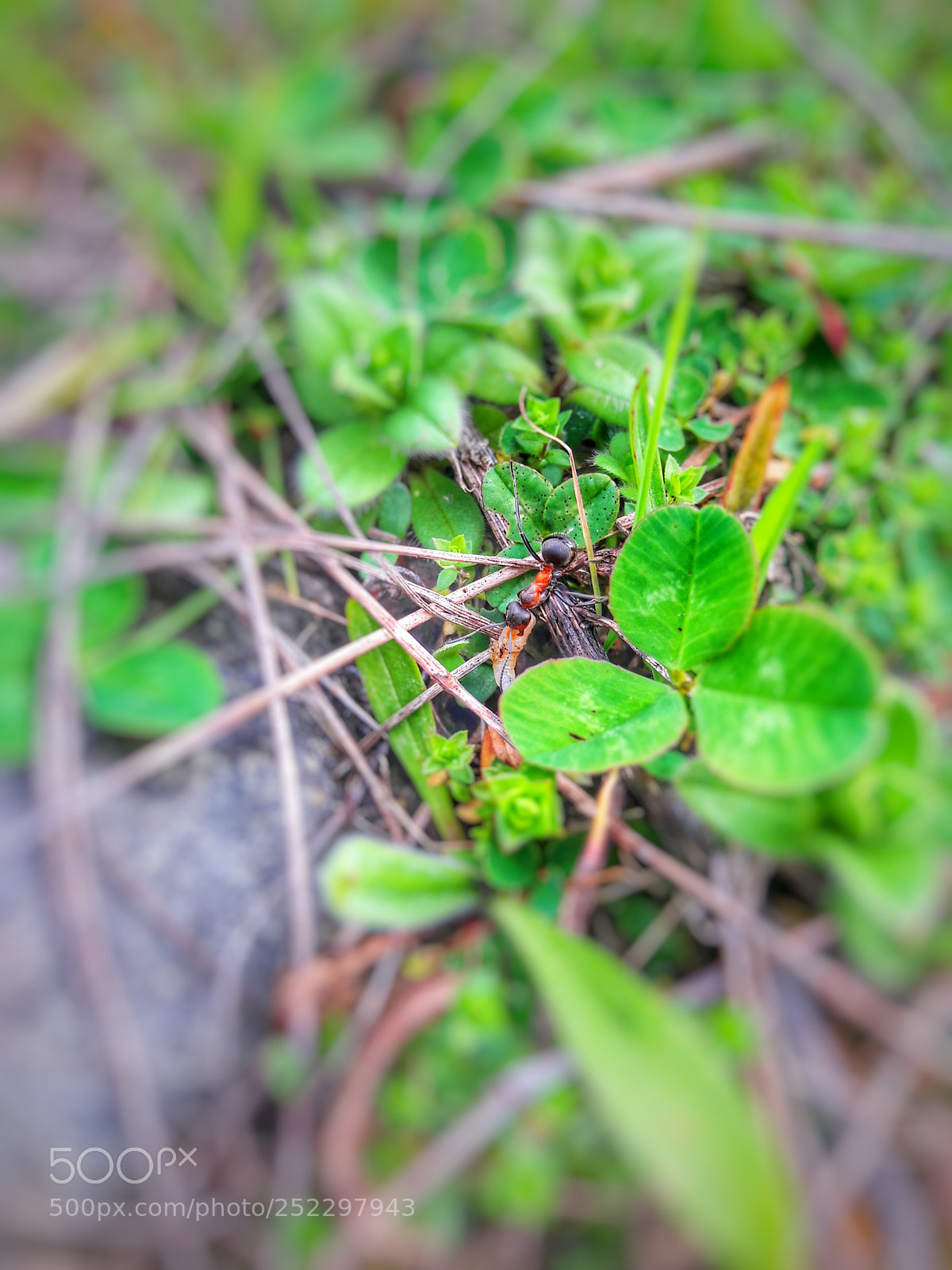 Samsung Galaxy A5(2016) sample photo. Untitled photography