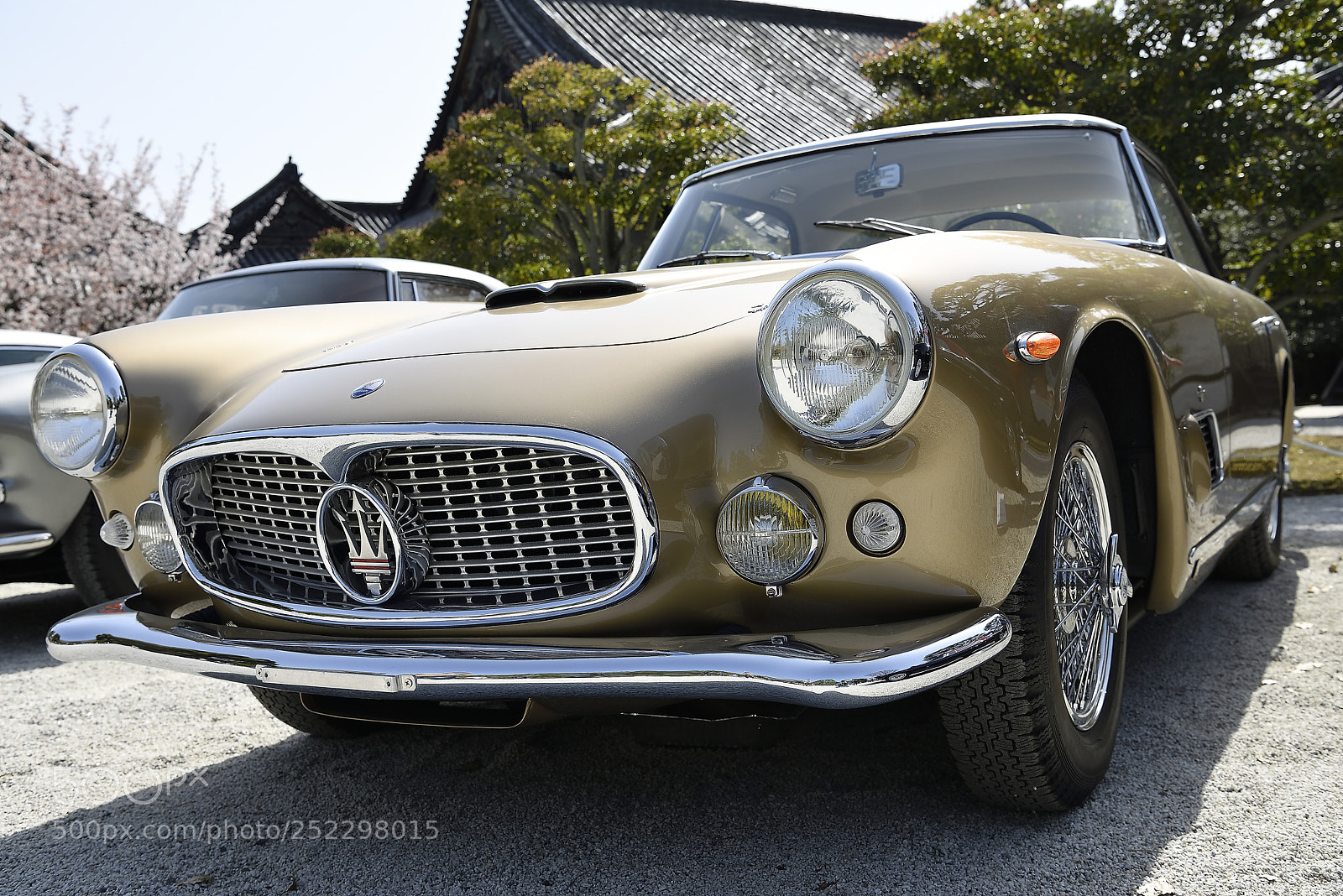 Nikon D800E sample photo. Maserati　3500gt photography