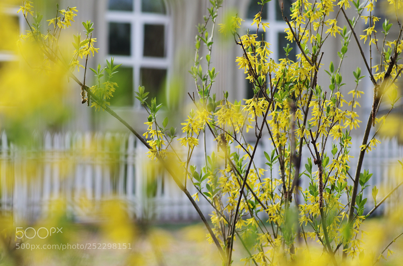 Pentax K-30 sample photo. April photography