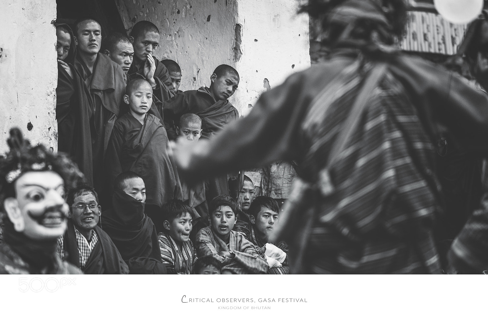 Nikon D810 sample photo. Critical observers, gasa festival photography