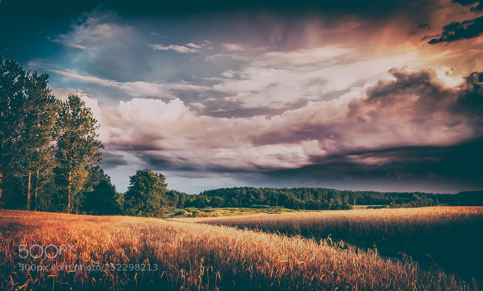 Nikon D300S sample photo. Dramatic sky photography