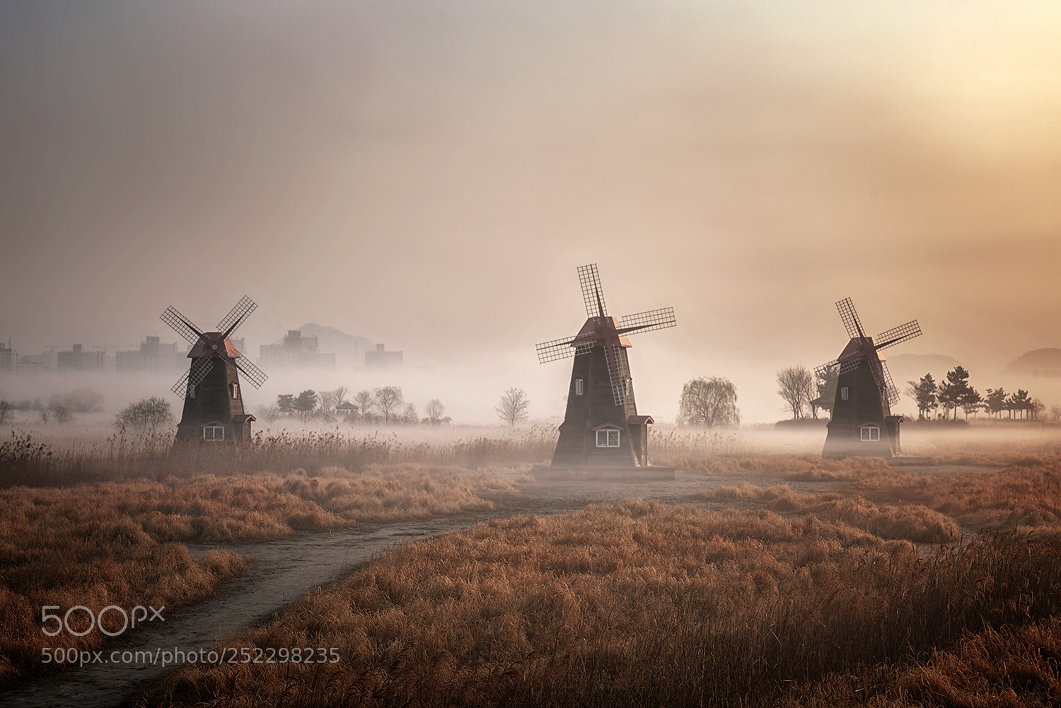 Sony a7R II sample photo. A spring morning that photography