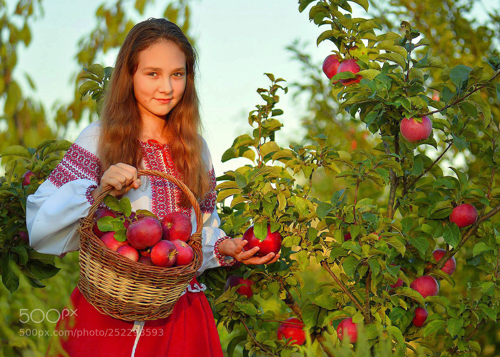 Nikon D3200 sample photo. урожай photography