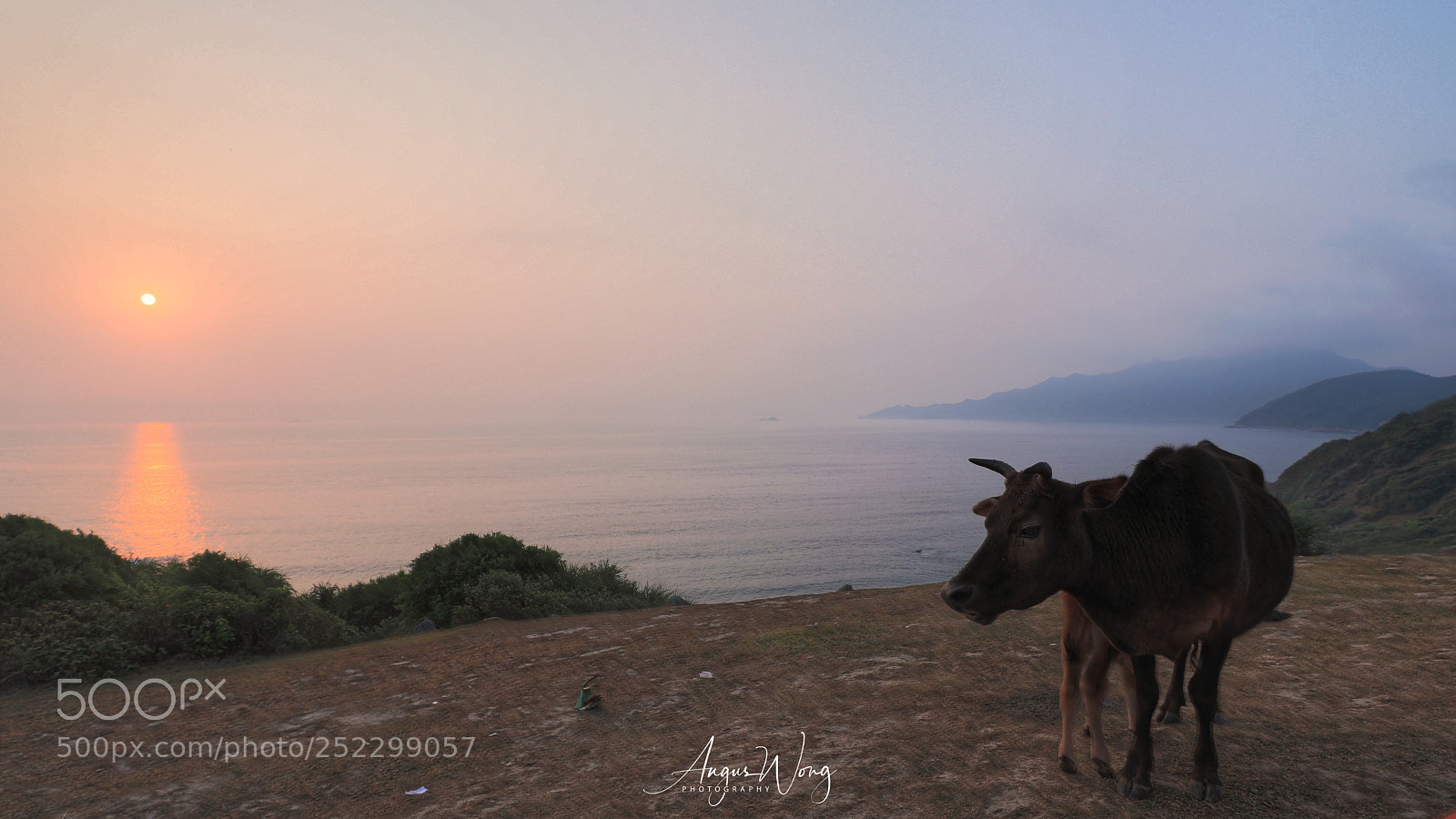 Canon EOS 5D Mark IV sample photo. Sunrise in tap mun photography