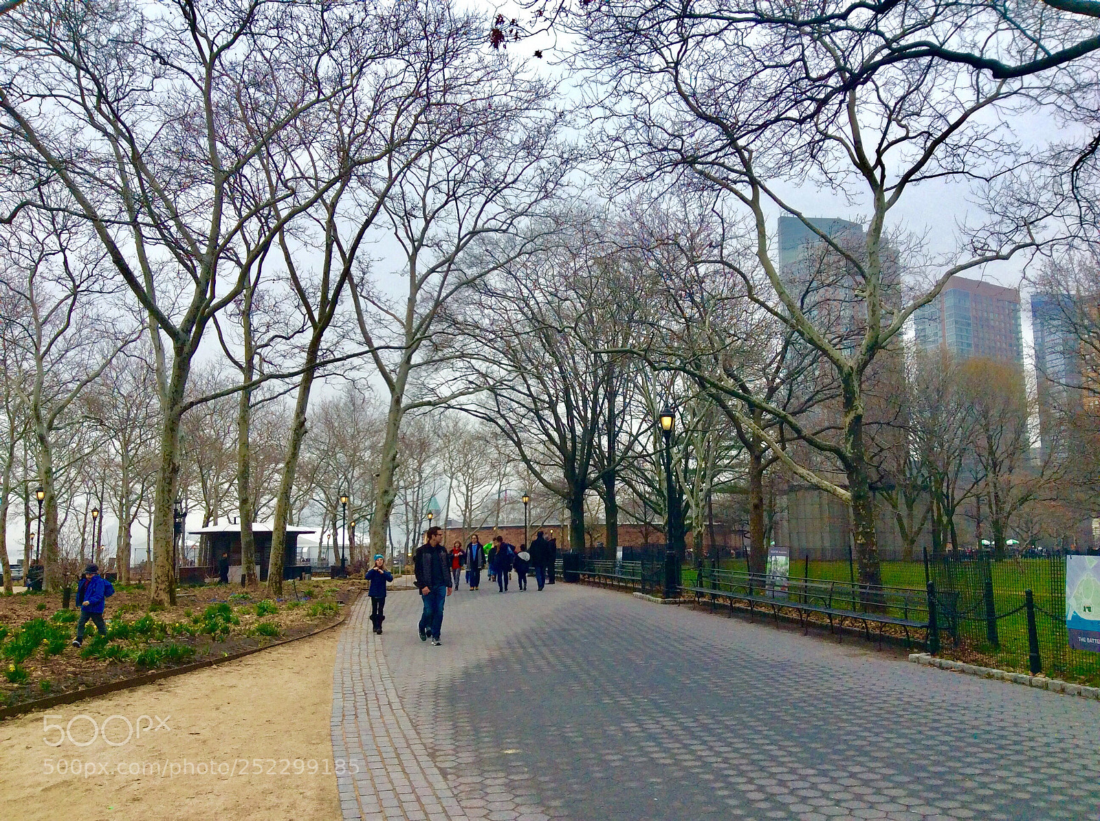 Apple iPad mini 2 sample photo. Strolling in the park photography