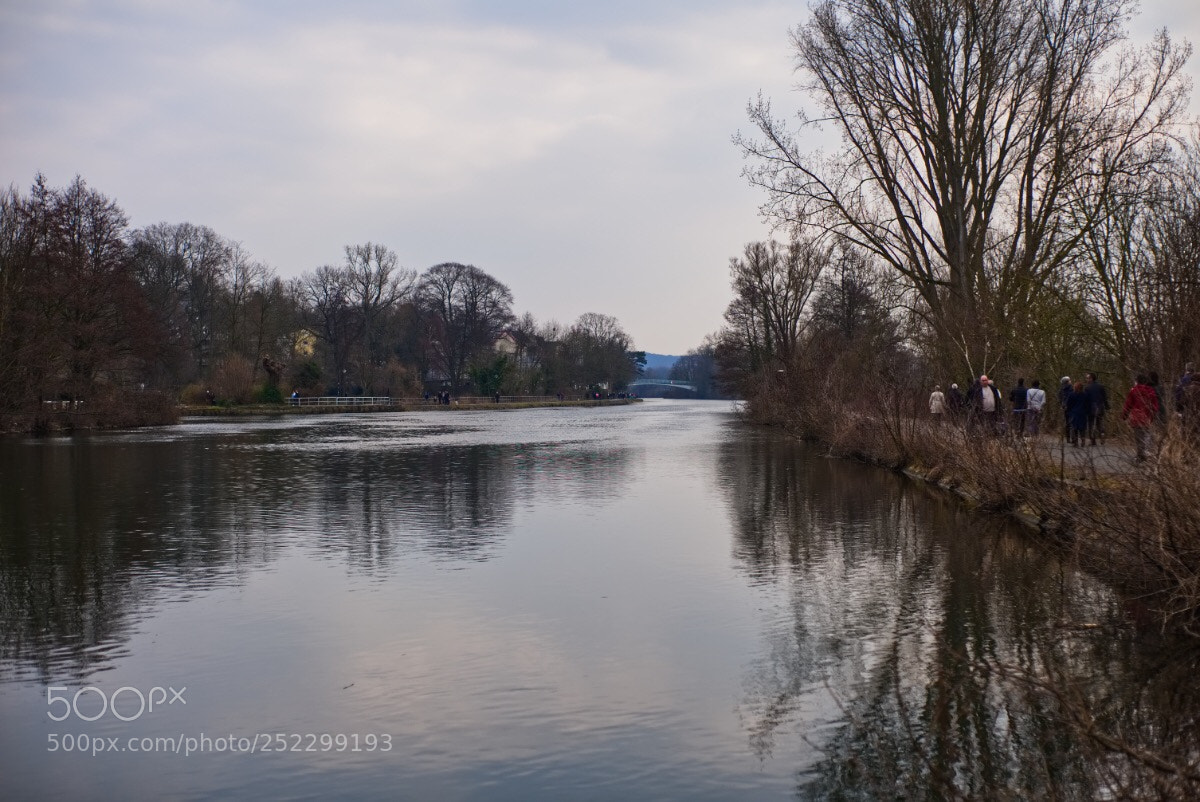 Sony a7 II sample photo. 30 /365  photography