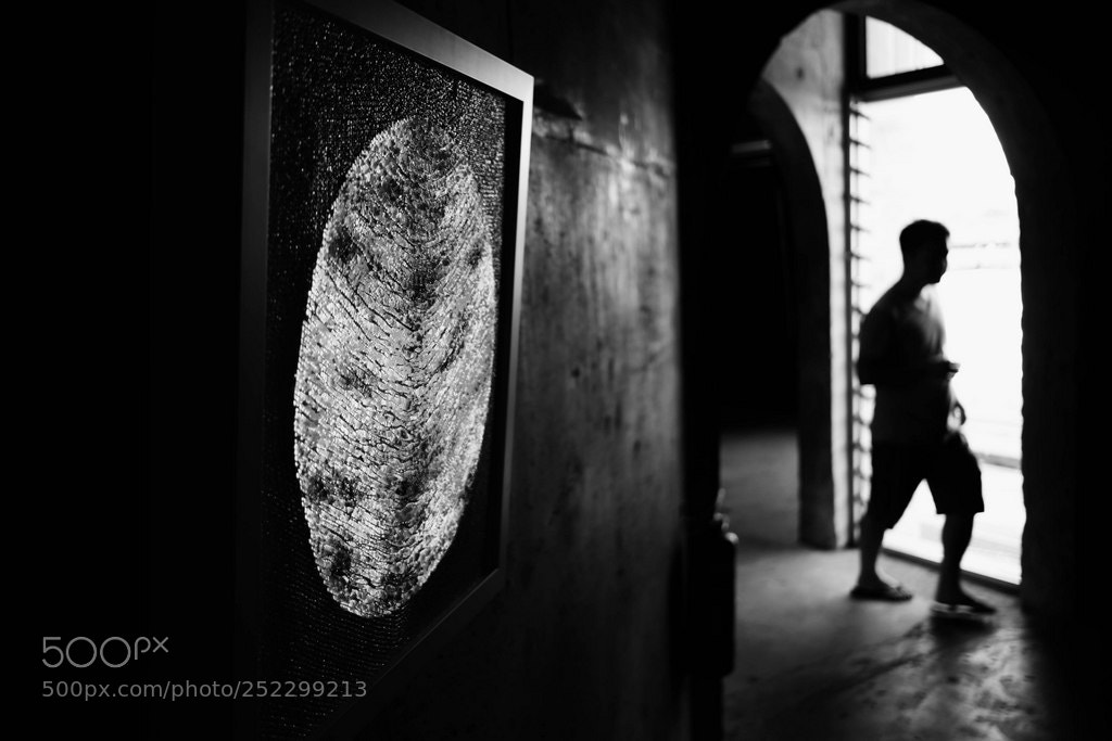Fujifilm X-Pro2 sample photo. Untitled photography