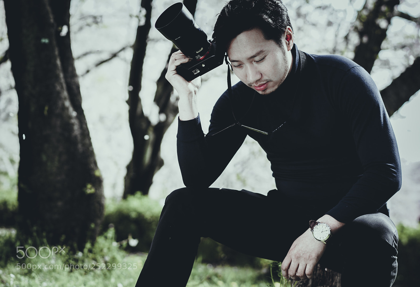 Sony a7 II sample photo. Org photography
