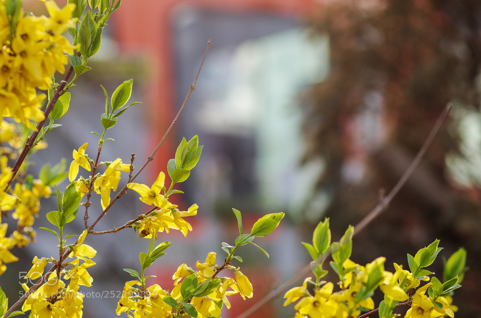 Pentax K-30 sample photo. April photography