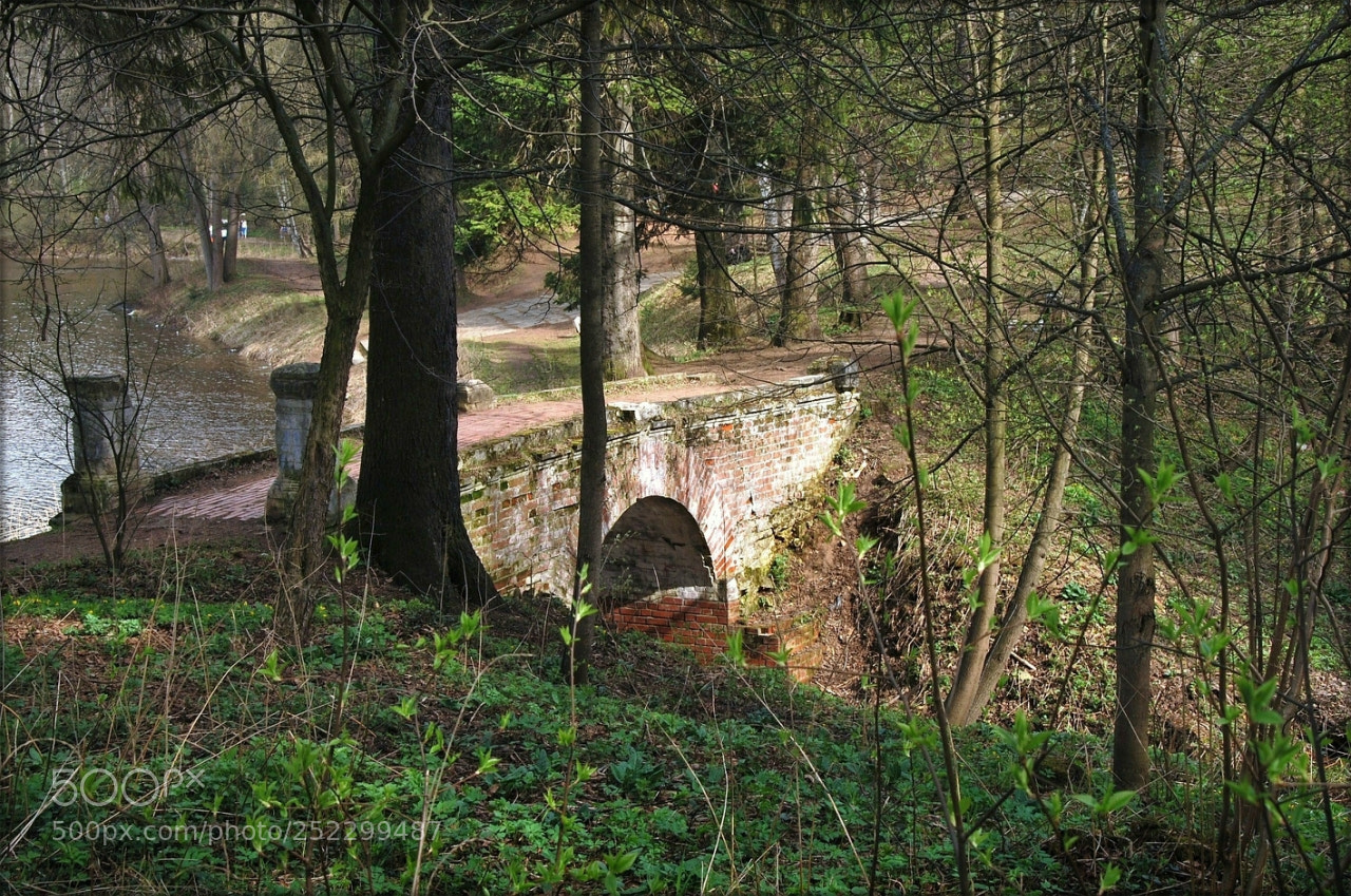 Nikon D60 sample photo. Abbbf orig photography
