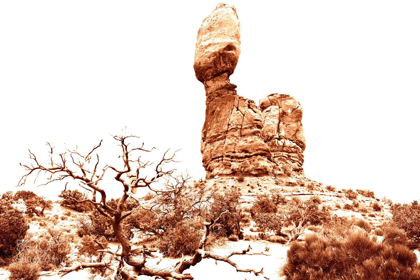 Nikon D810 sample photo. Balanced rock photography