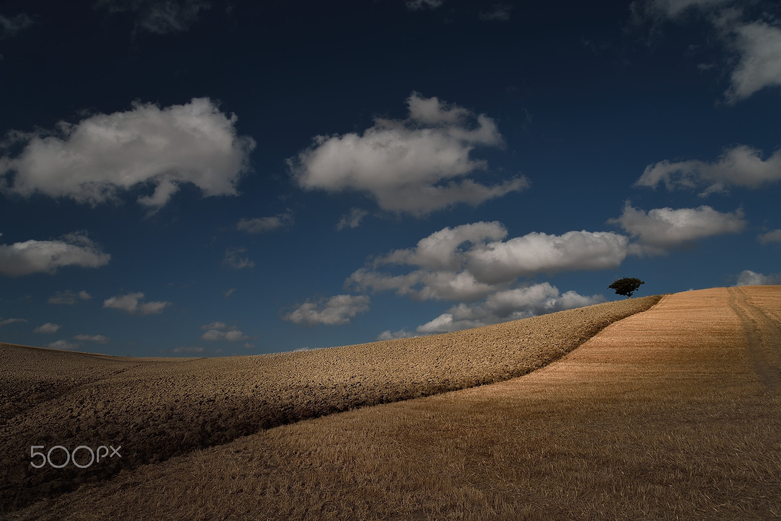 Nikon D610 sample photo. I sing my land photography