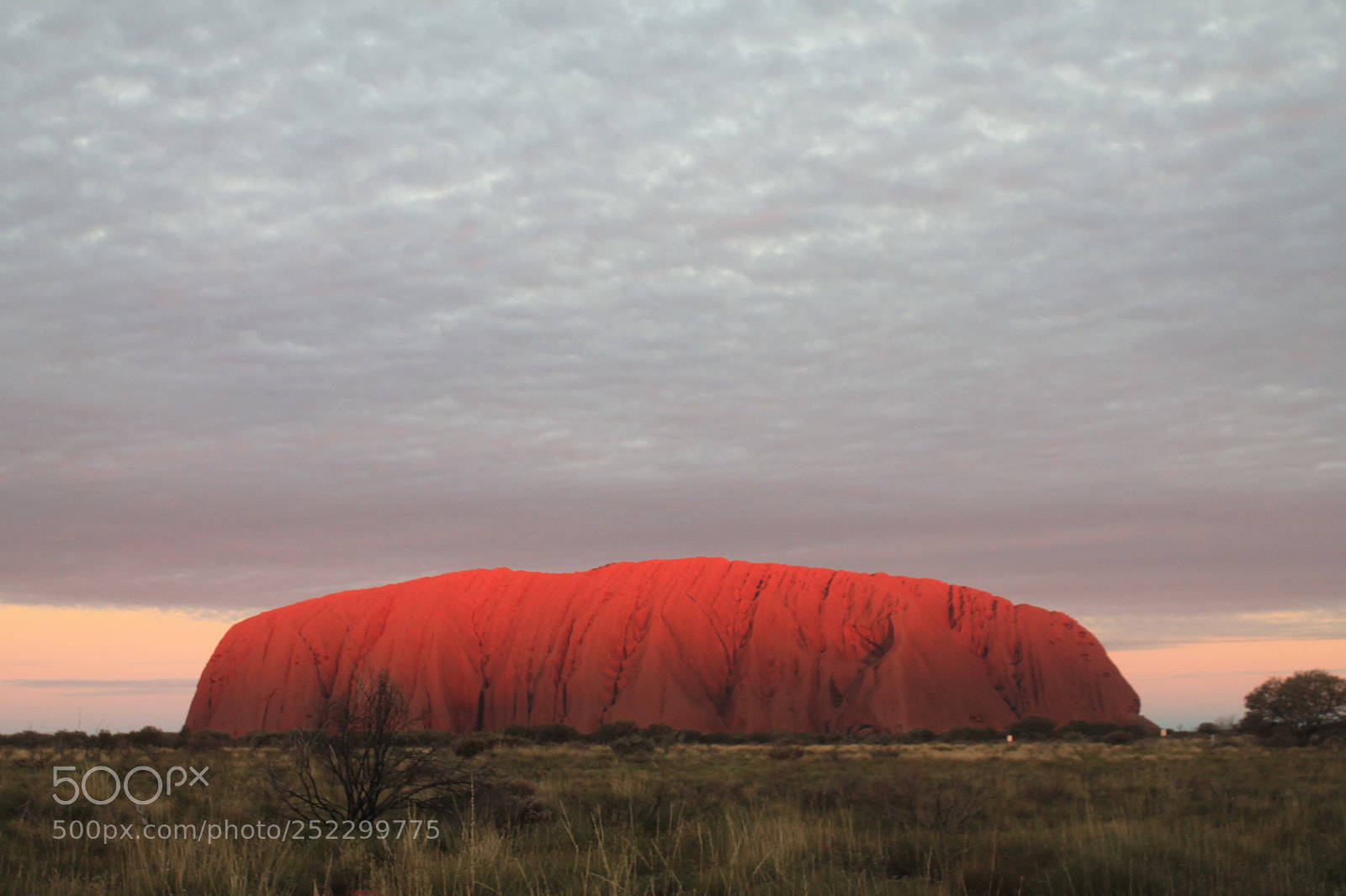 Canon EOS 1100D (EOS Rebel T3 / EOS Kiss X50) sample photo. Uluru photography