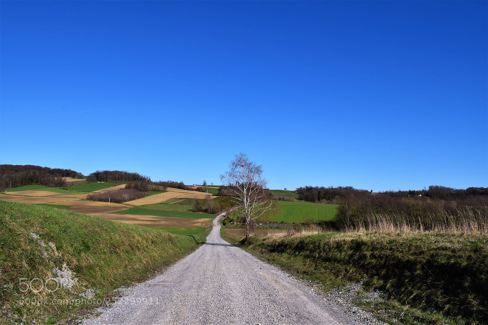 Nikon D3300 sample photo. Bilogora road photography