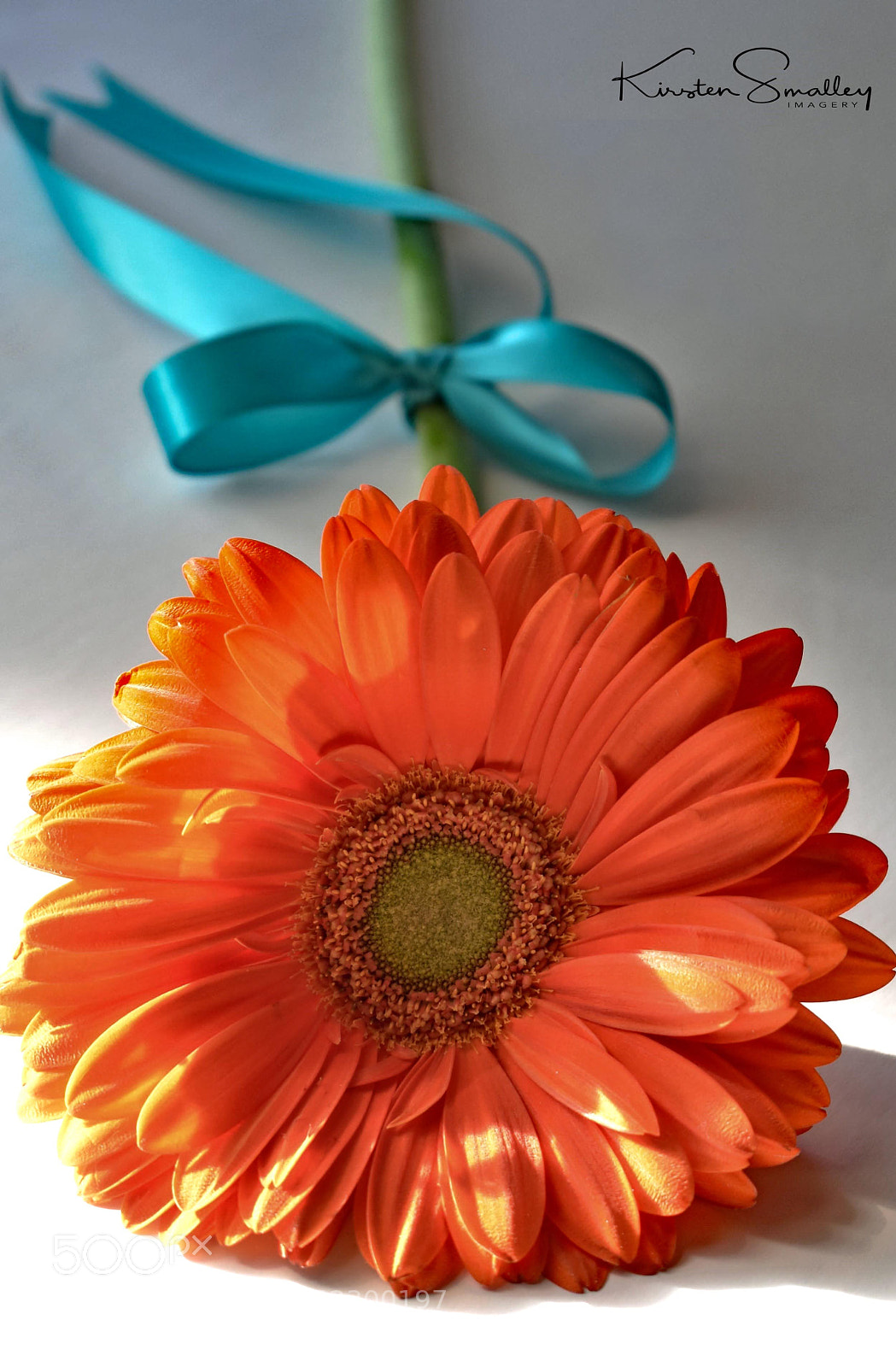 Nikon D3400 sample photo. Orange in love photography