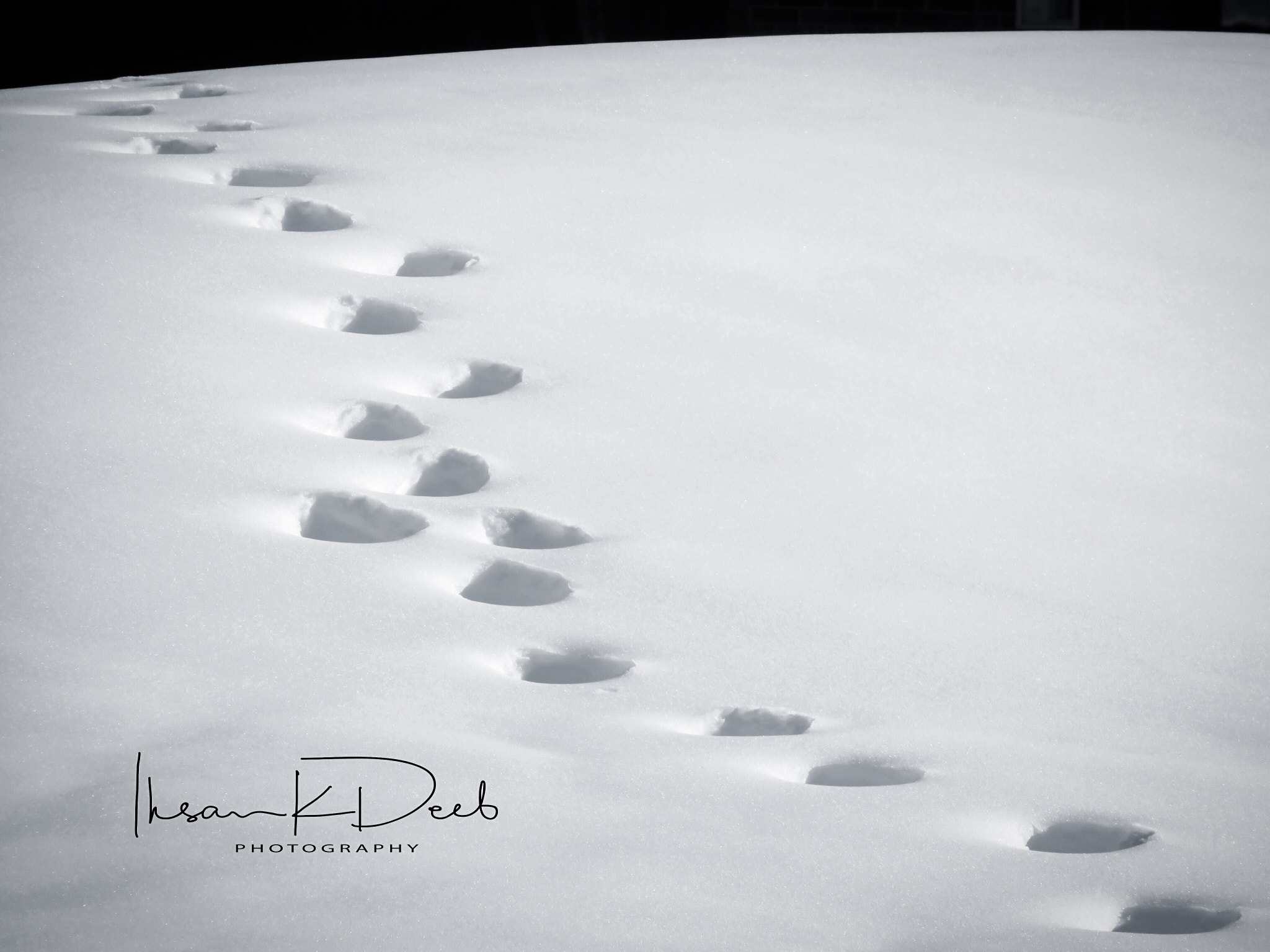 Canon PowerShot SX730 HS sample photo. Snow tracks in the snow  photography