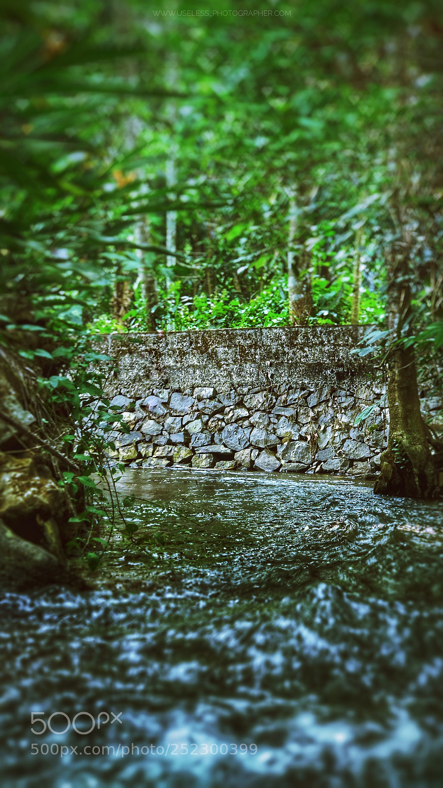 Xiaomi Mi A1 sample photo. Untitled photography