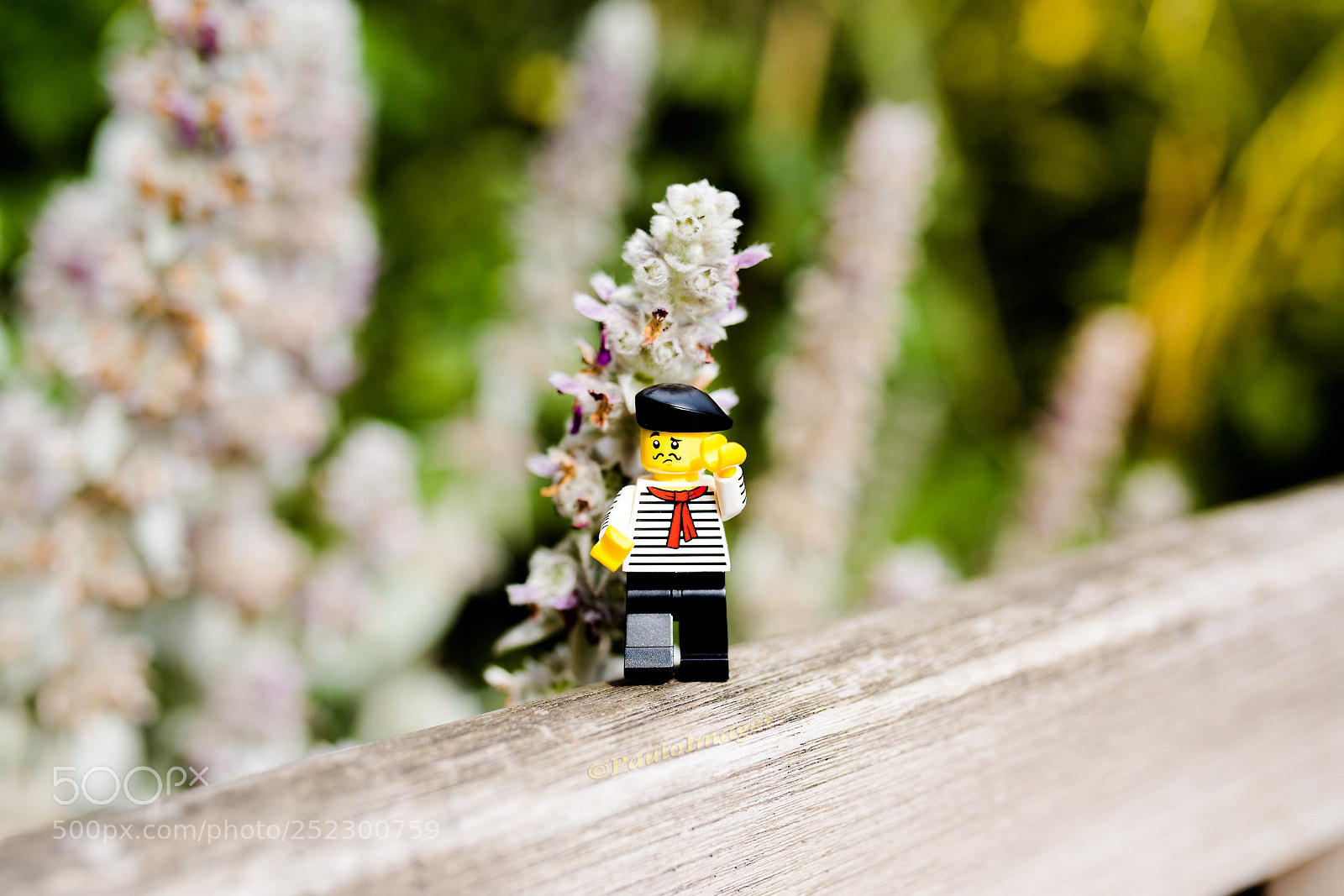 Nikon D810 sample photo. Bonjour!  photography