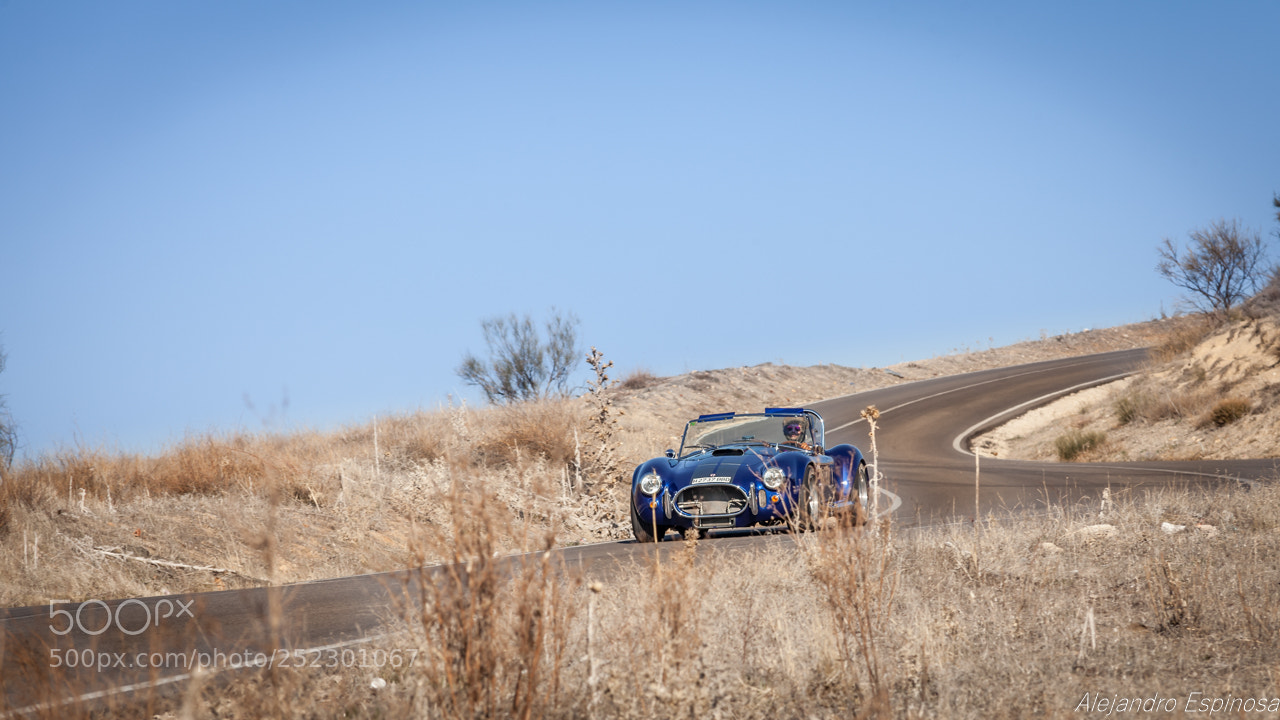 Canon EOS 5D Mark II sample photo. Ac cobra photography