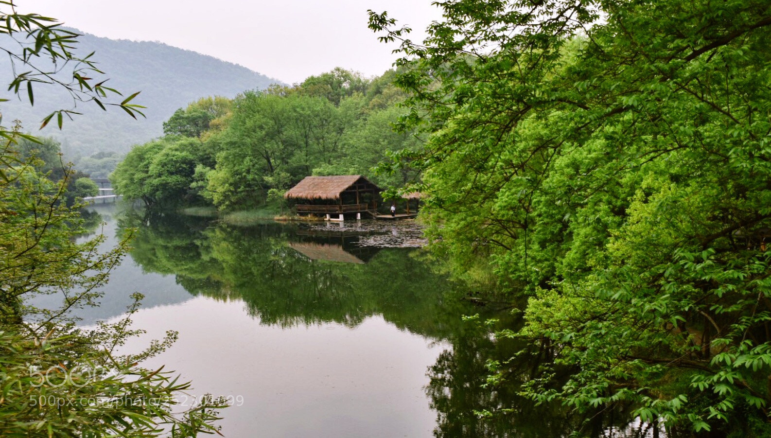 Nikon D5500 sample photo. Valley in the spring photography