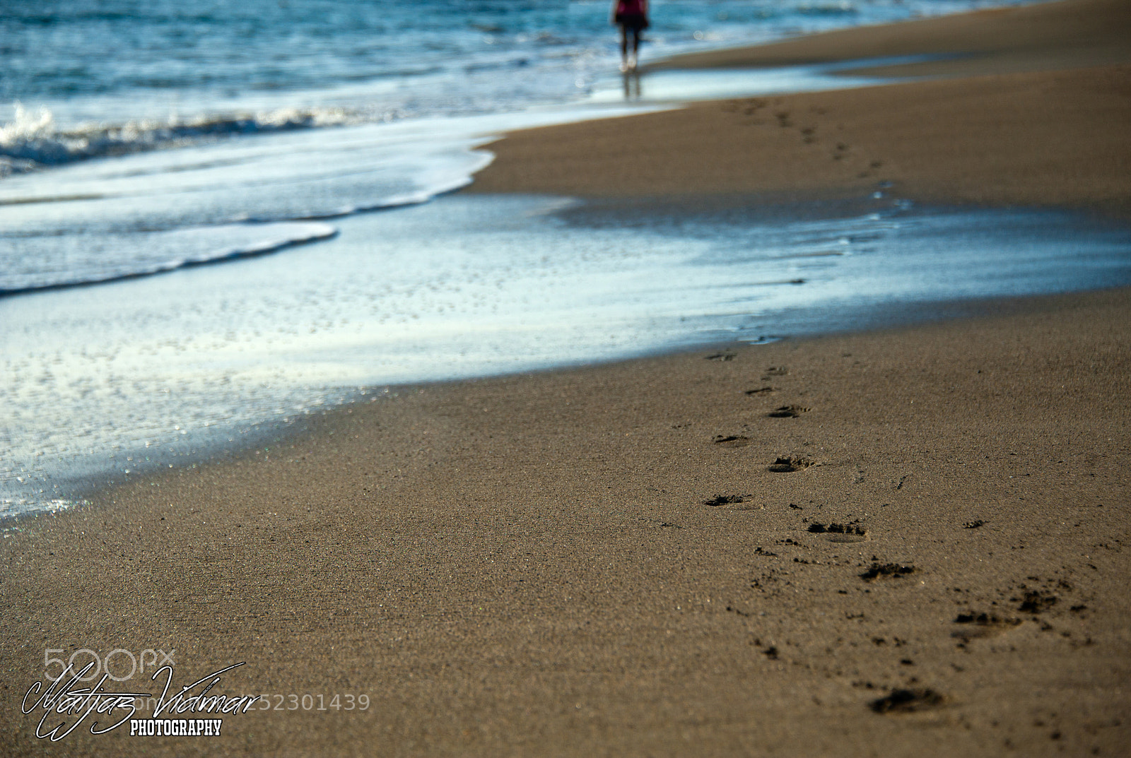 Nikon D700 sample photo. Beach walk photography