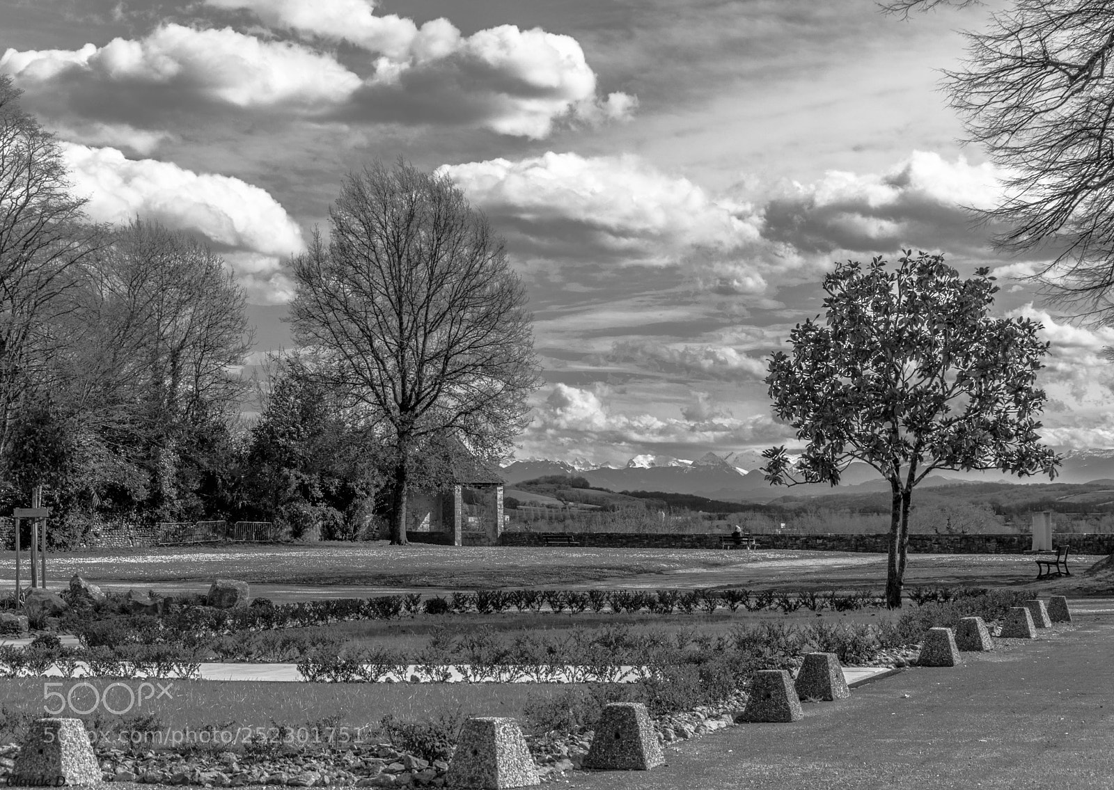Nikon D3200 sample photo. En noir et blanc photography