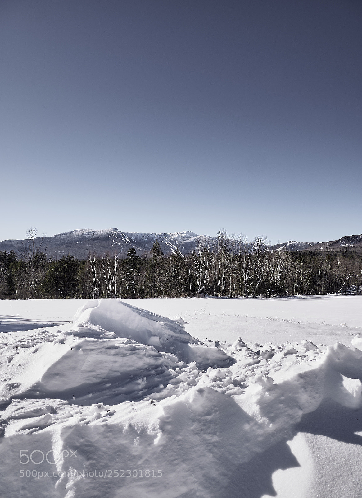 Panasonic Lumix DMC-G85 (Lumix DMC-G80) sample photo. Winter escapes photography