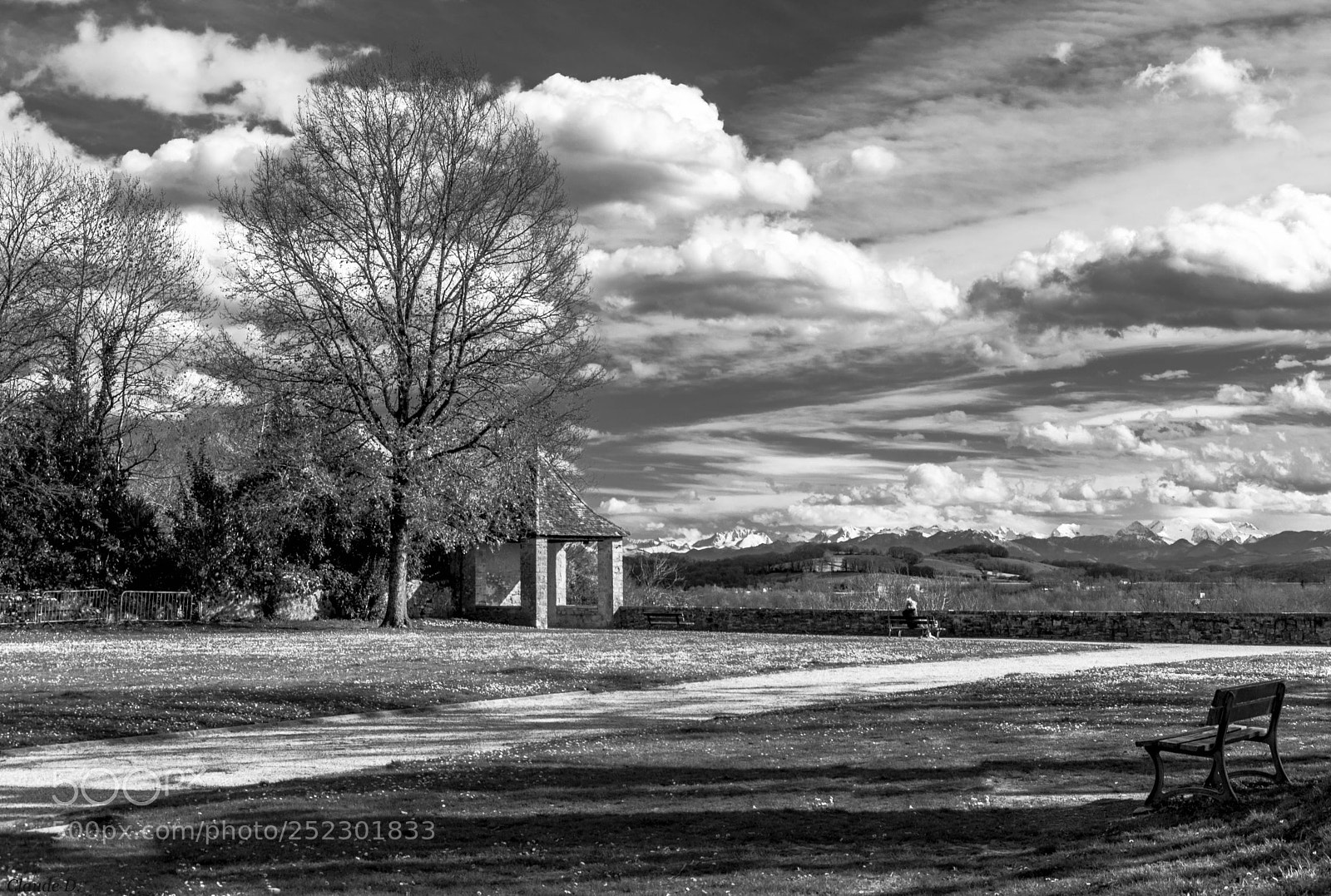 Nikon D3200 sample photo. En noir et blanc photography