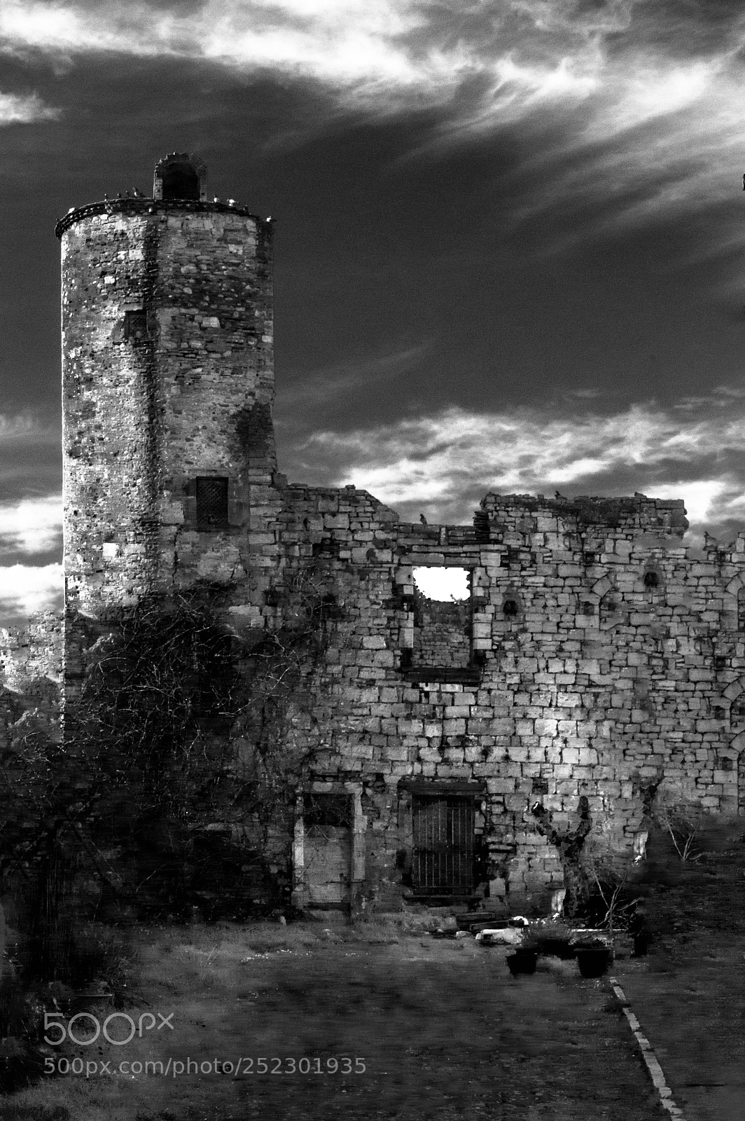 Nikon D3200 sample photo. En noir et blanc photography