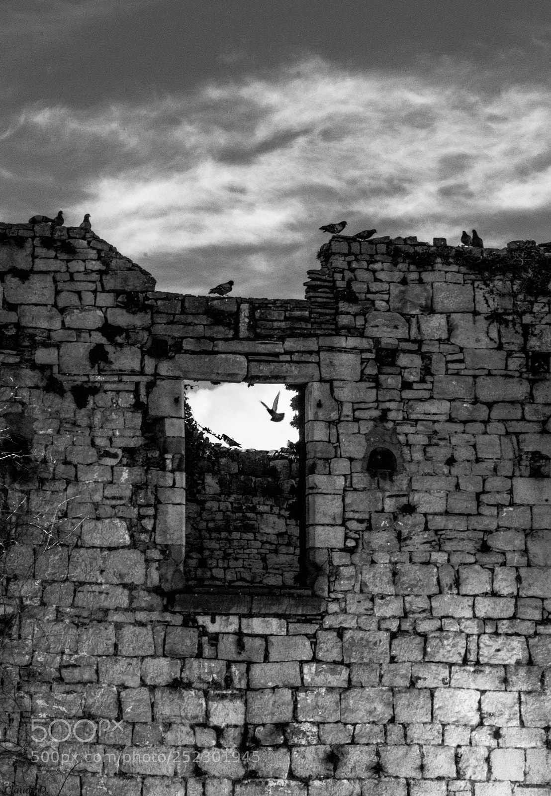 Nikon D3200 sample photo. En noir et blanc photography