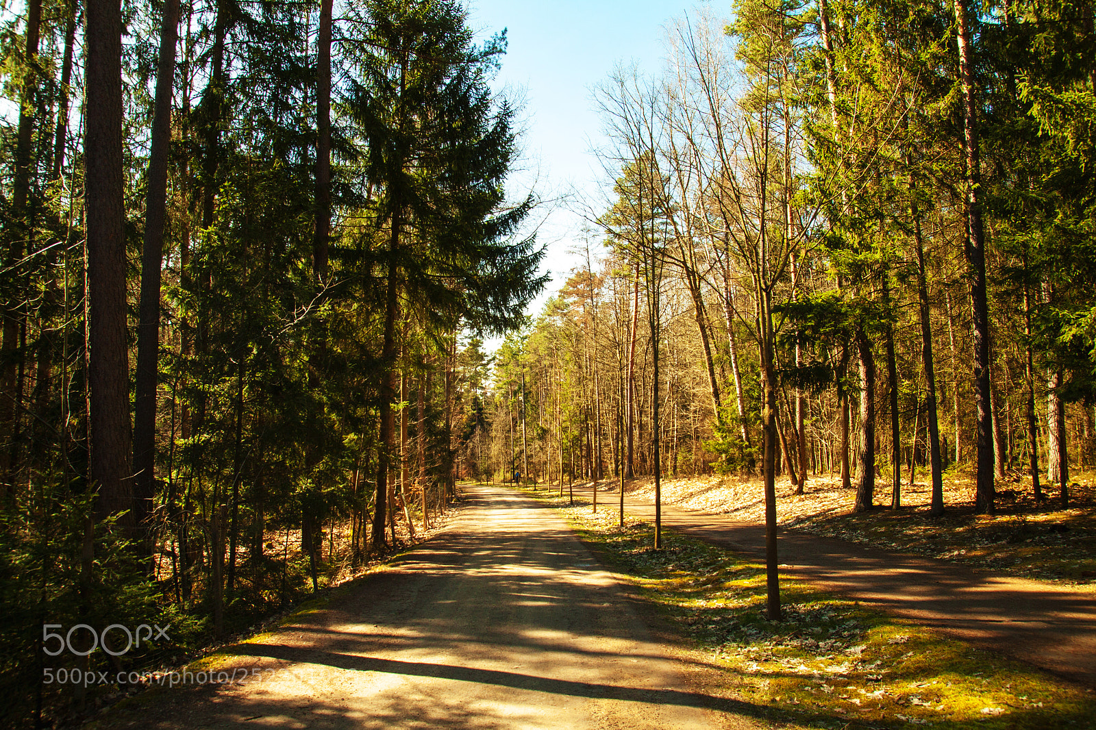 Canon EOS 50D sample photo. Am brombachsee photography