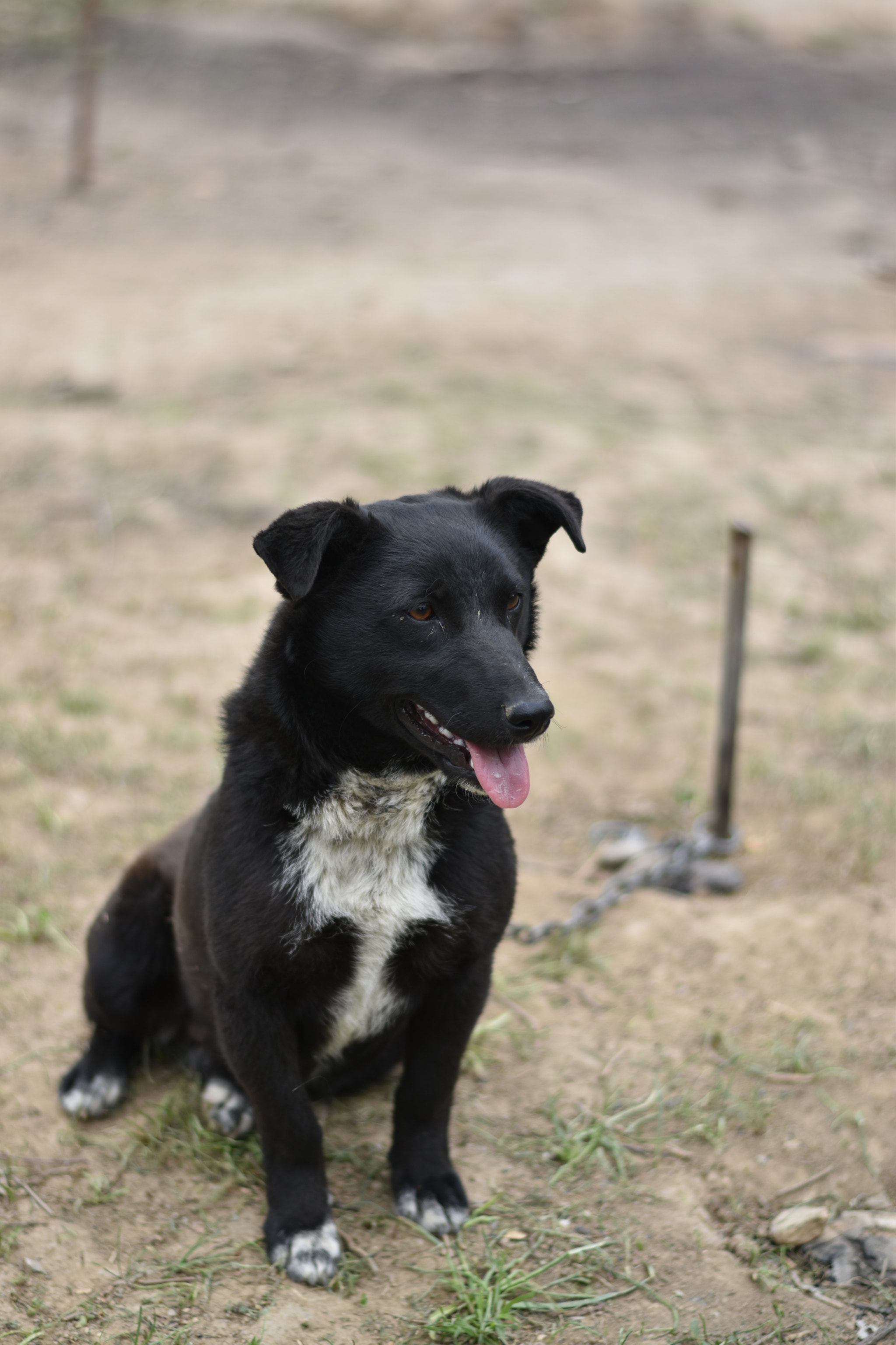 Nikon D5600 + Nikon AF-S Nikkor 50mm F1.8G sample photo