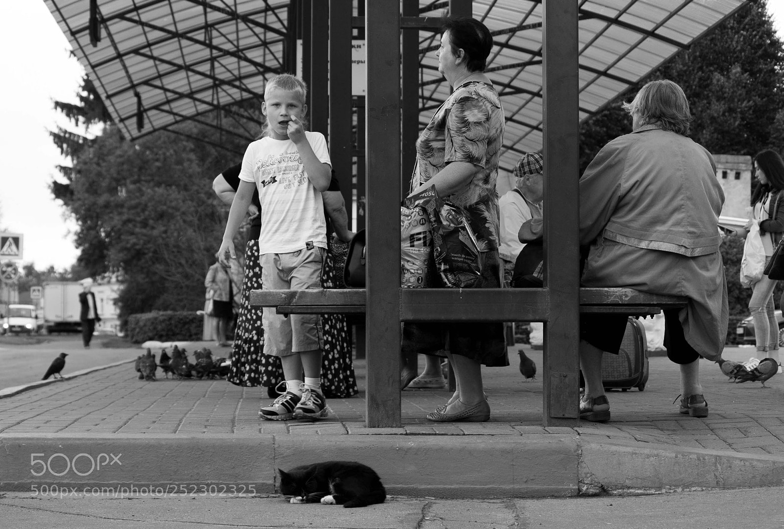 Canon EOS 350D (EOS Digital Rebel XT / EOS Kiss Digital N) sample photo. No bus yet photography