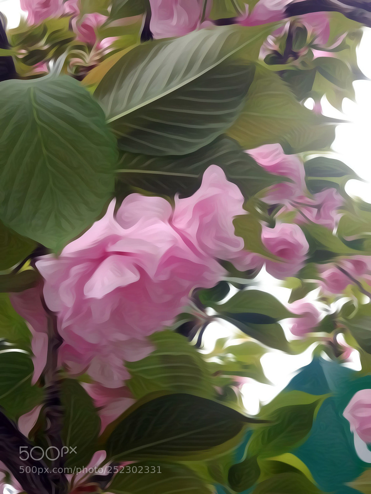 Xiaomi MI 5 sample photo. 《春华》 photography