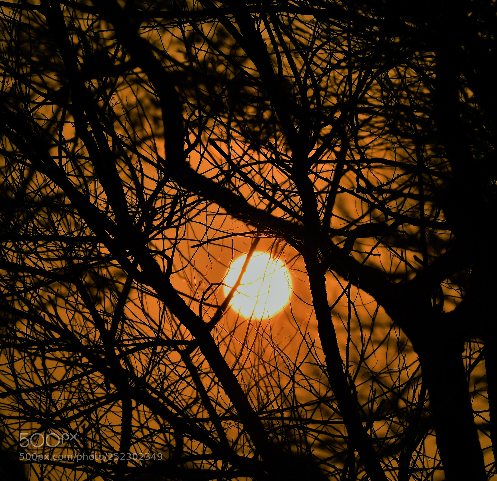 Nikon D7500 sample photo. Ray of hope photography