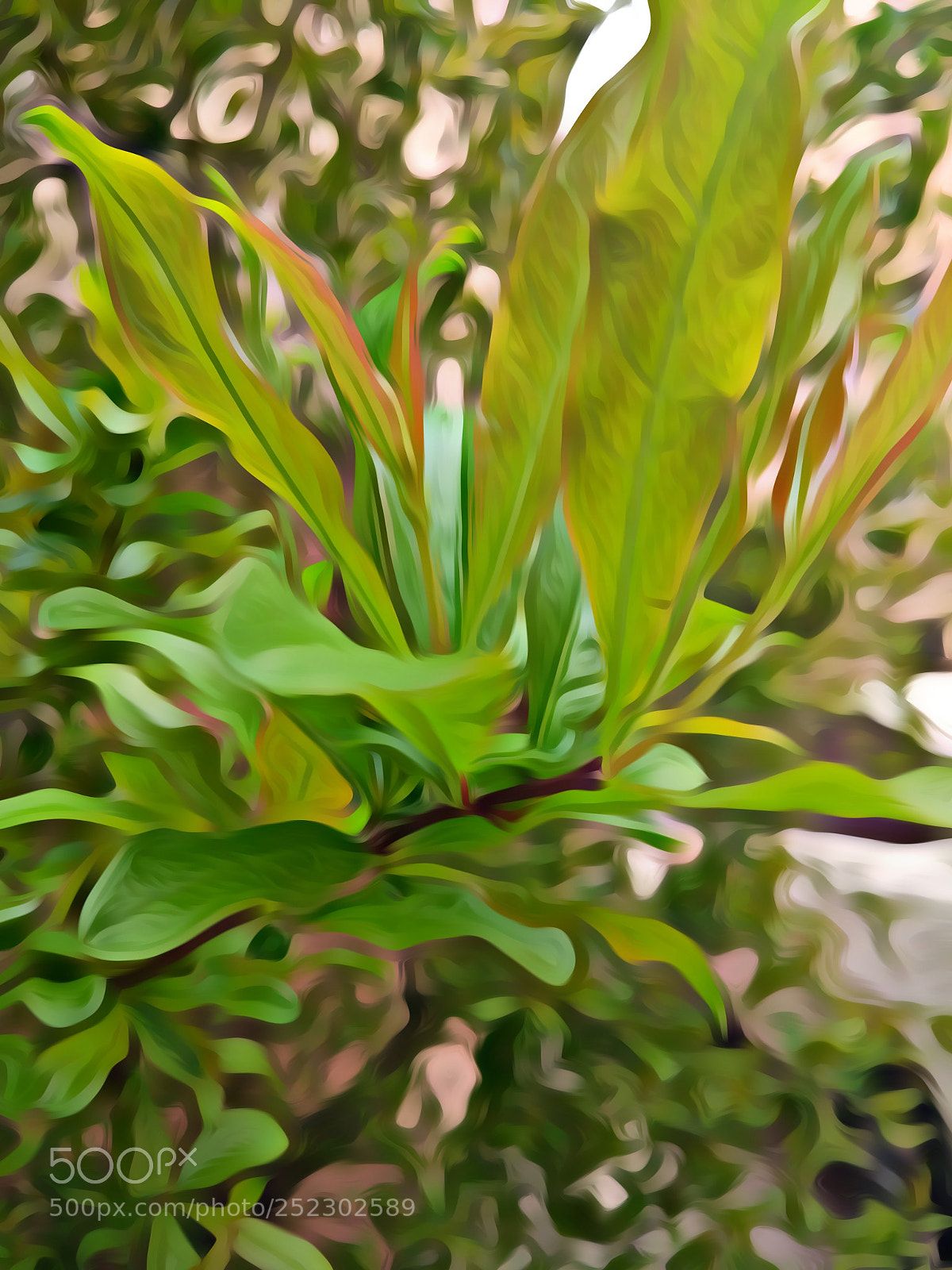 Xiaomi MI 5 sample photo. 《春色》 photography