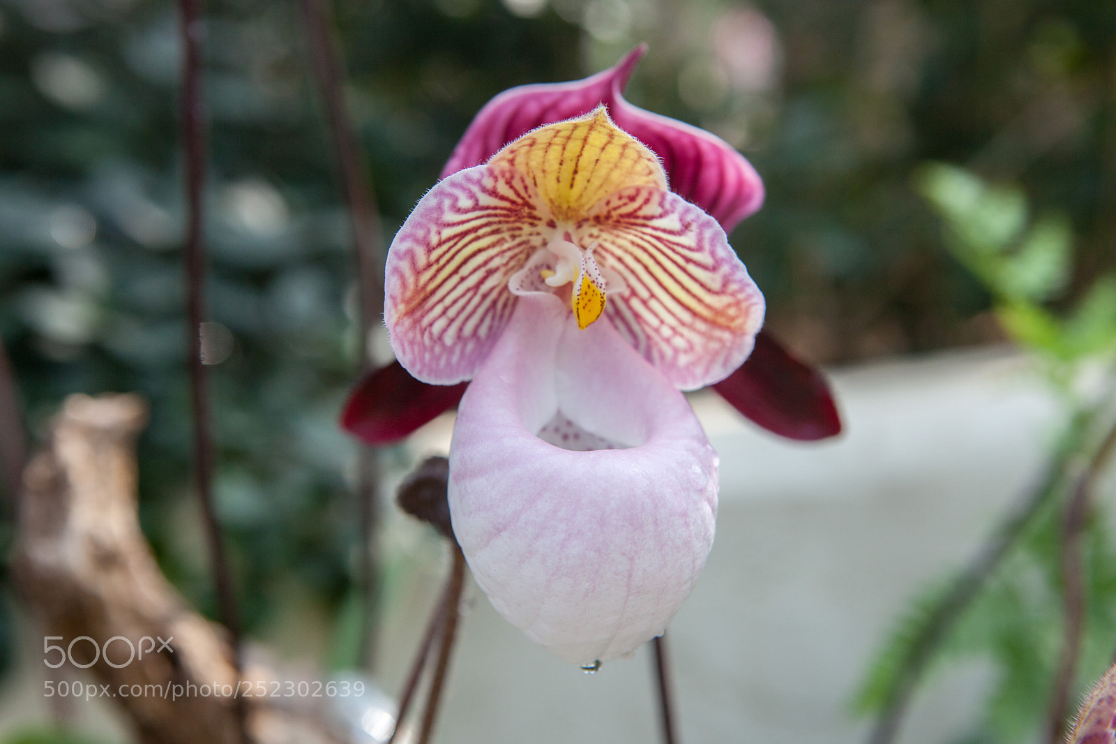 Canon EOS 5D Mark II sample photo. 玉女 photography