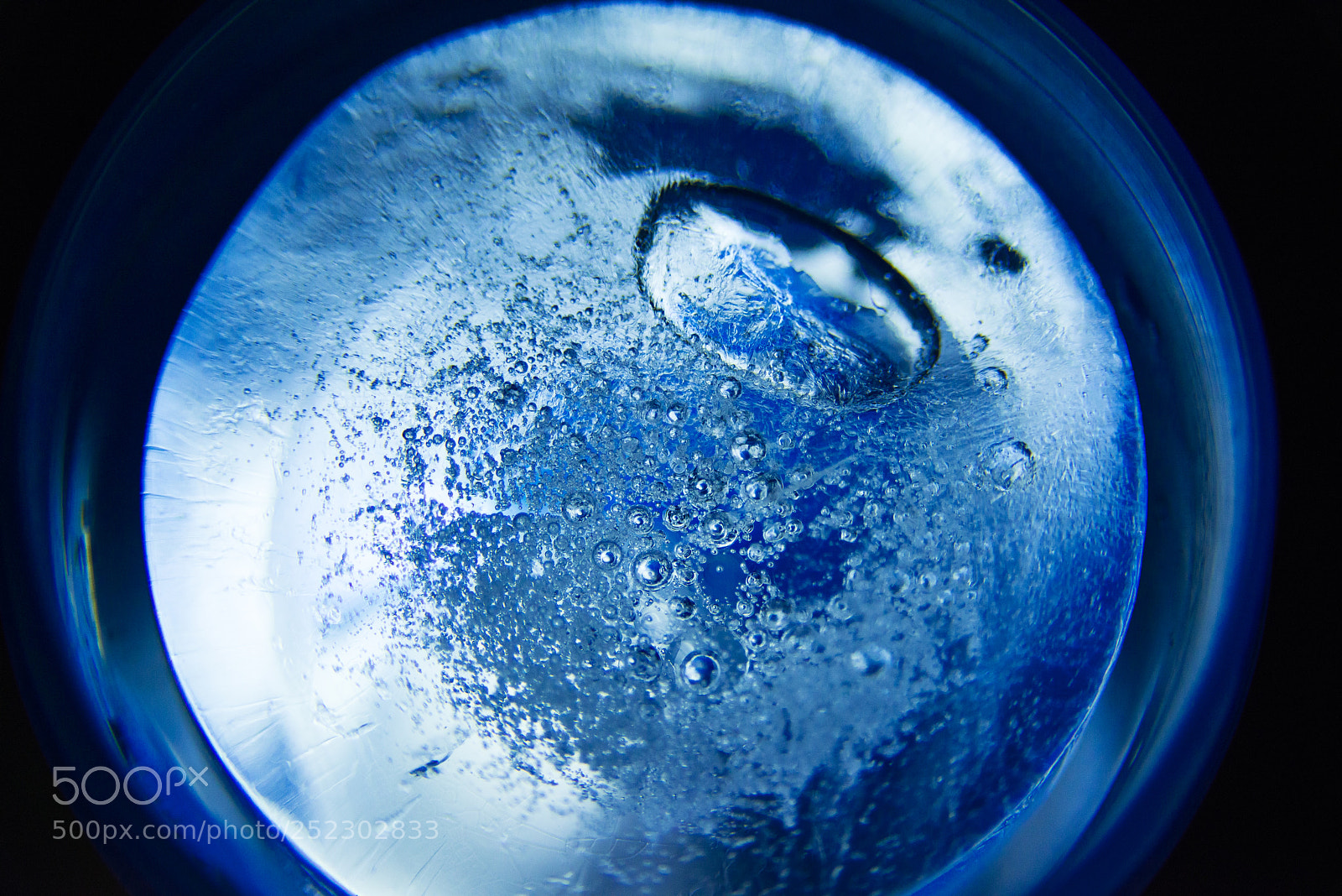 Nikon D800 sample photo. Frosty macro vol. 2 photography