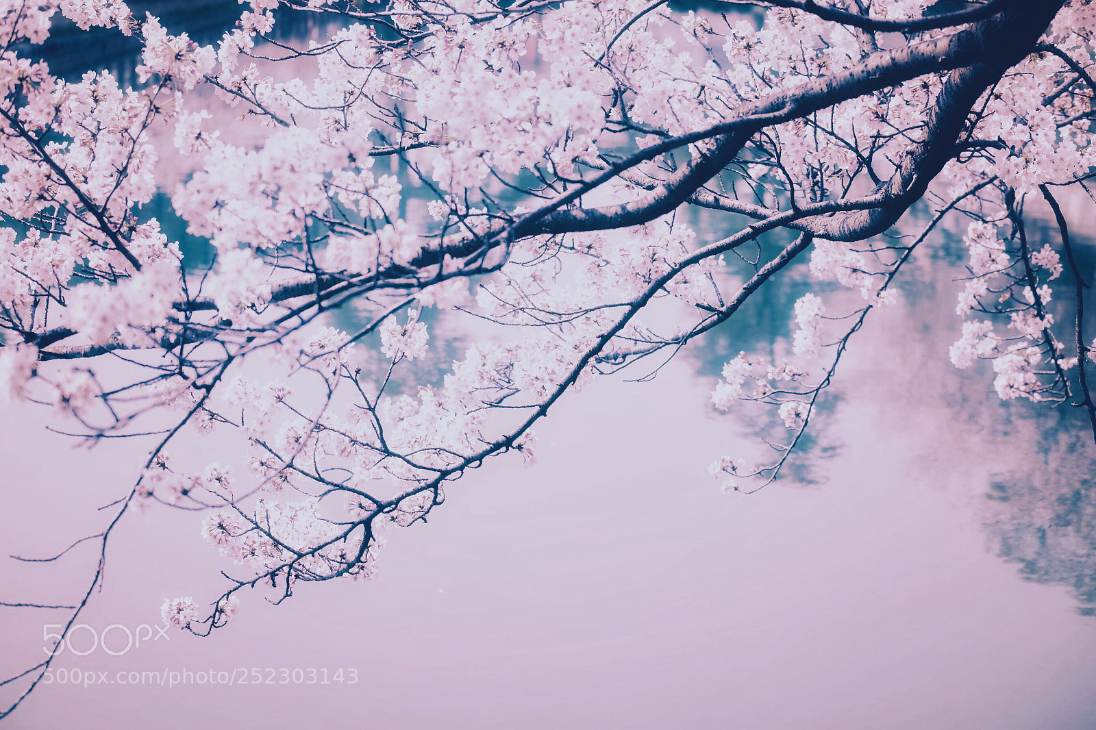 Fujifilm X-T1 sample photo. Untitled photography