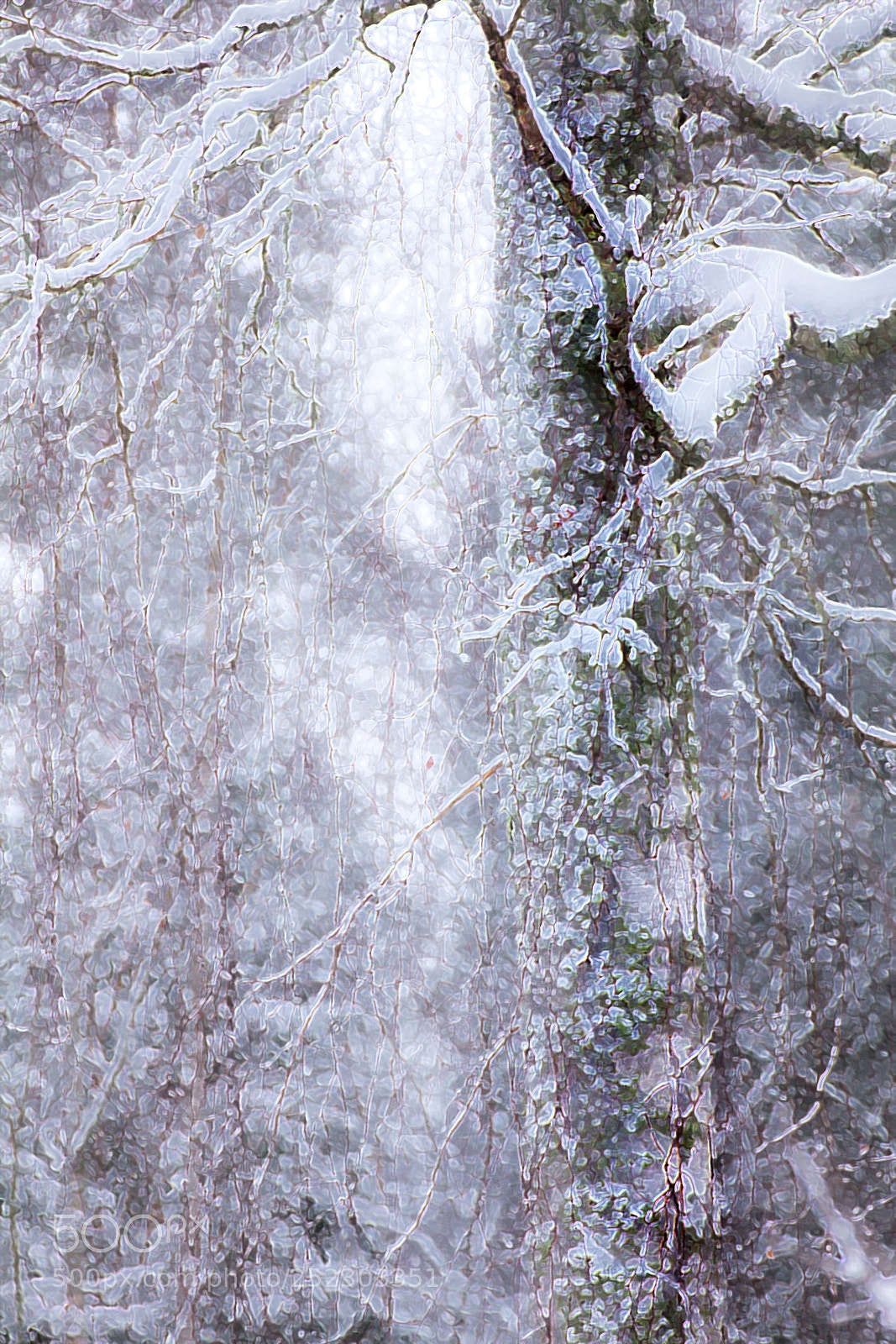 Canon EOS 60D sample photo. Snow photography