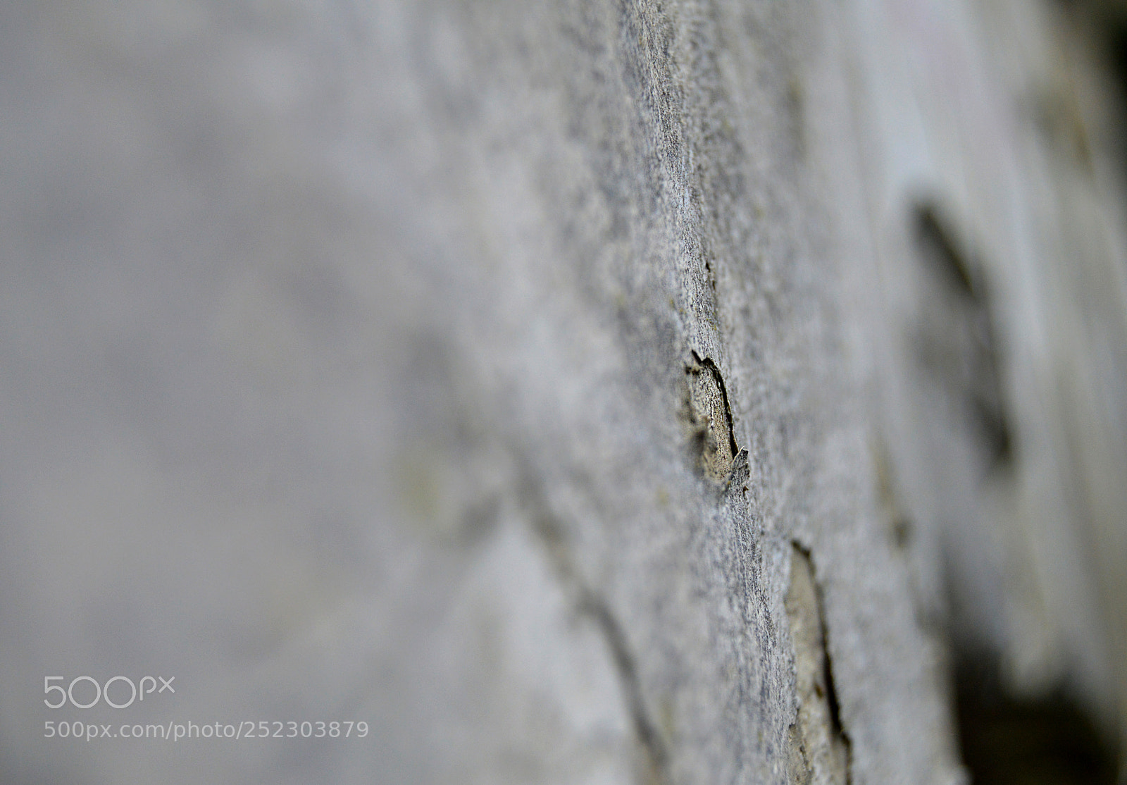 Nikon D3200 sample photo. Gray wall photography
